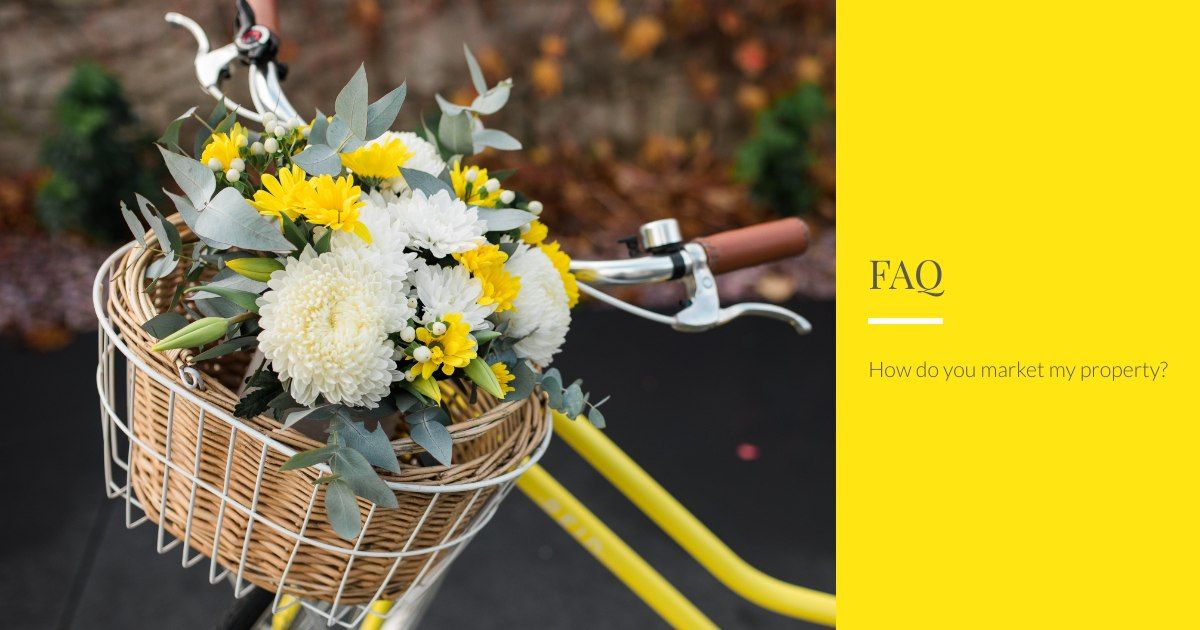 Property Management FAQ News Ray White Romsey