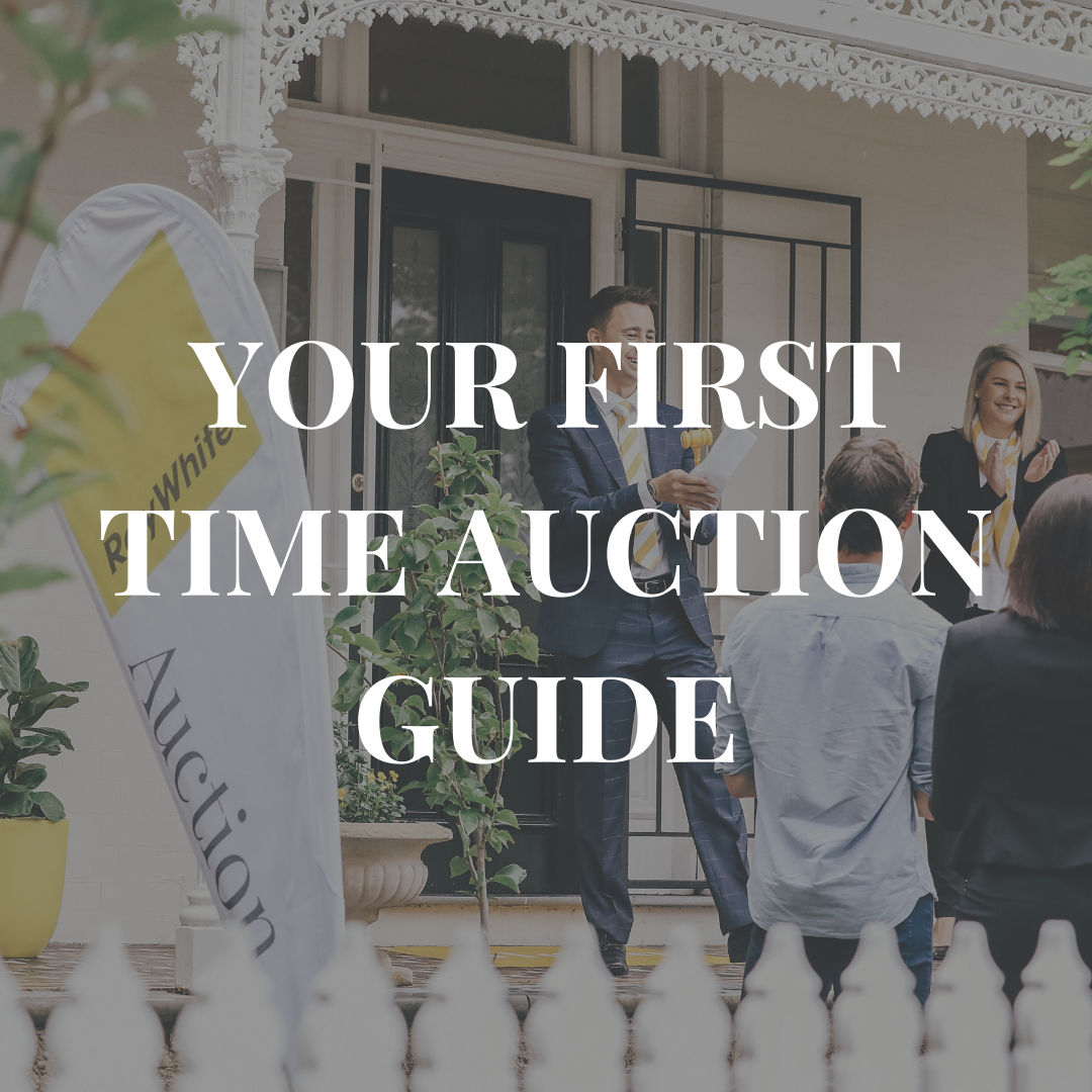 Your First Time Auction Guide - News - Ray White Springfield ...