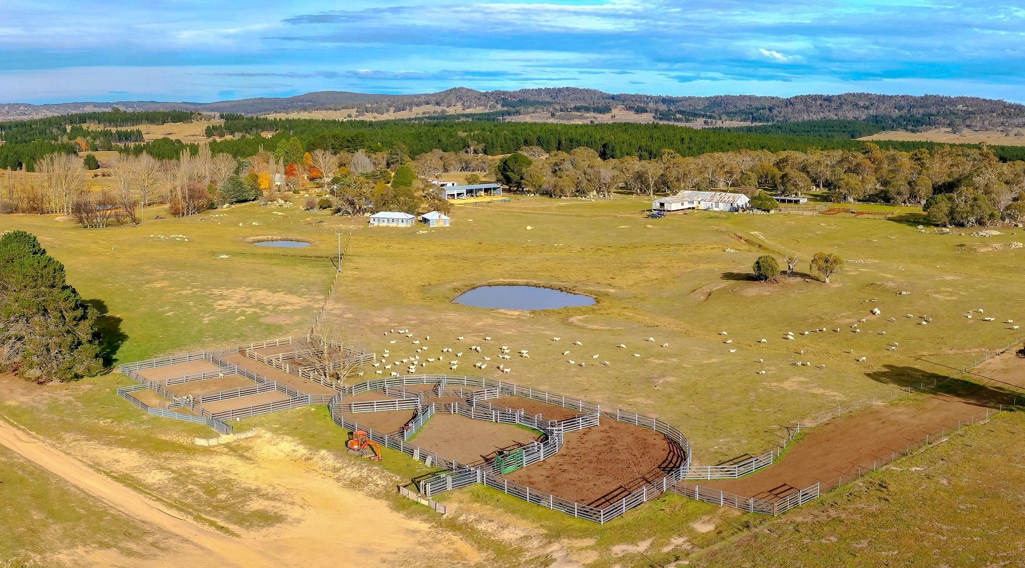 Most significant sale in EdenMonaro farming sells offmarket News