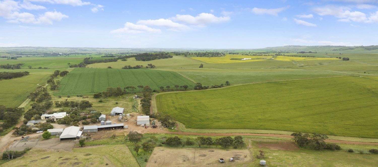 News - Ray White Rural South Australia