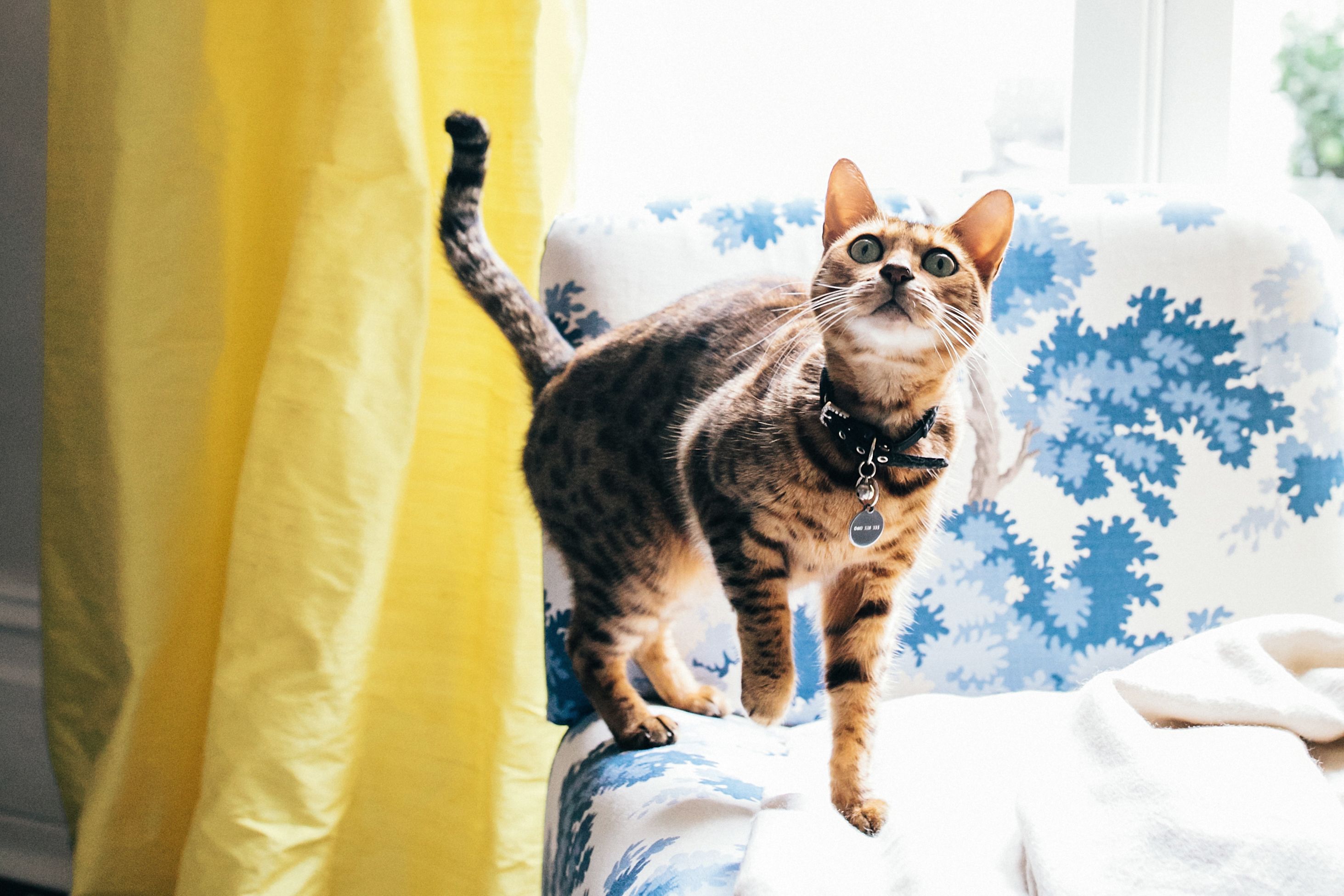 room for two designing a kids' shared bedroom  news  ray