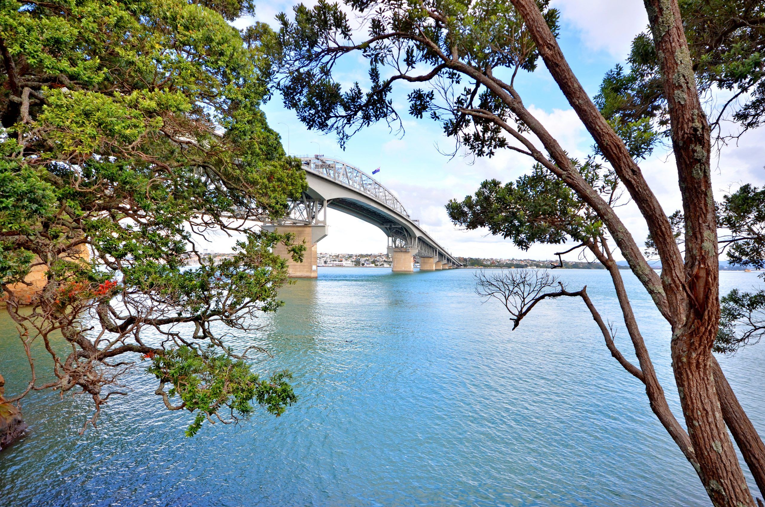 Ray White Carpenter Realty