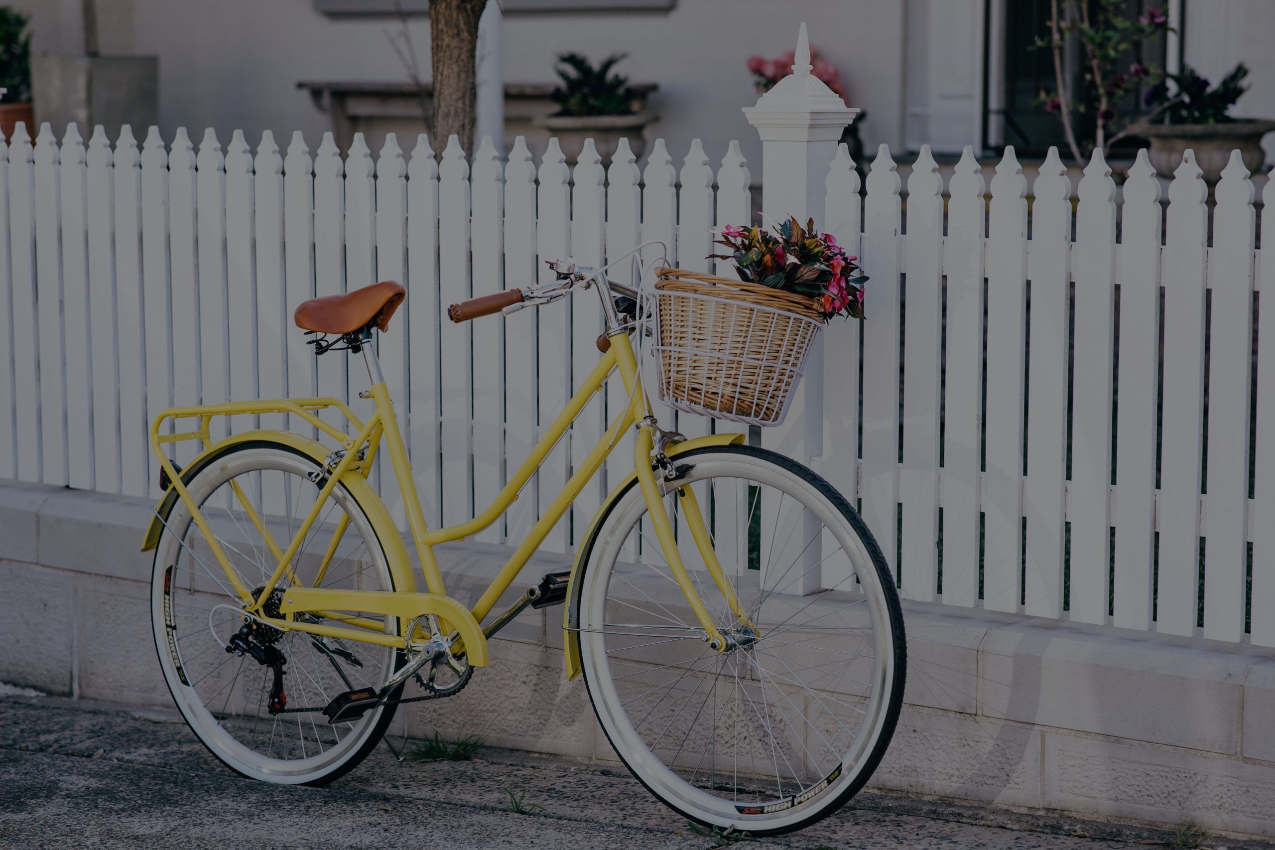 Ray White Next Step Property Management