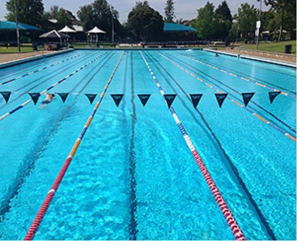 Carnegie Swim Centre pool News Ray White Carnegie