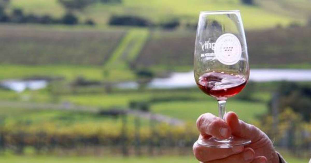 14th Annual Shoalhaven Coast Winter Wine Festival June Long Weekend News Ray White Gerringong 14th Annual Shoalhaven Coast Winter Wine Festival June Long Weekend News Ray White Gerringong