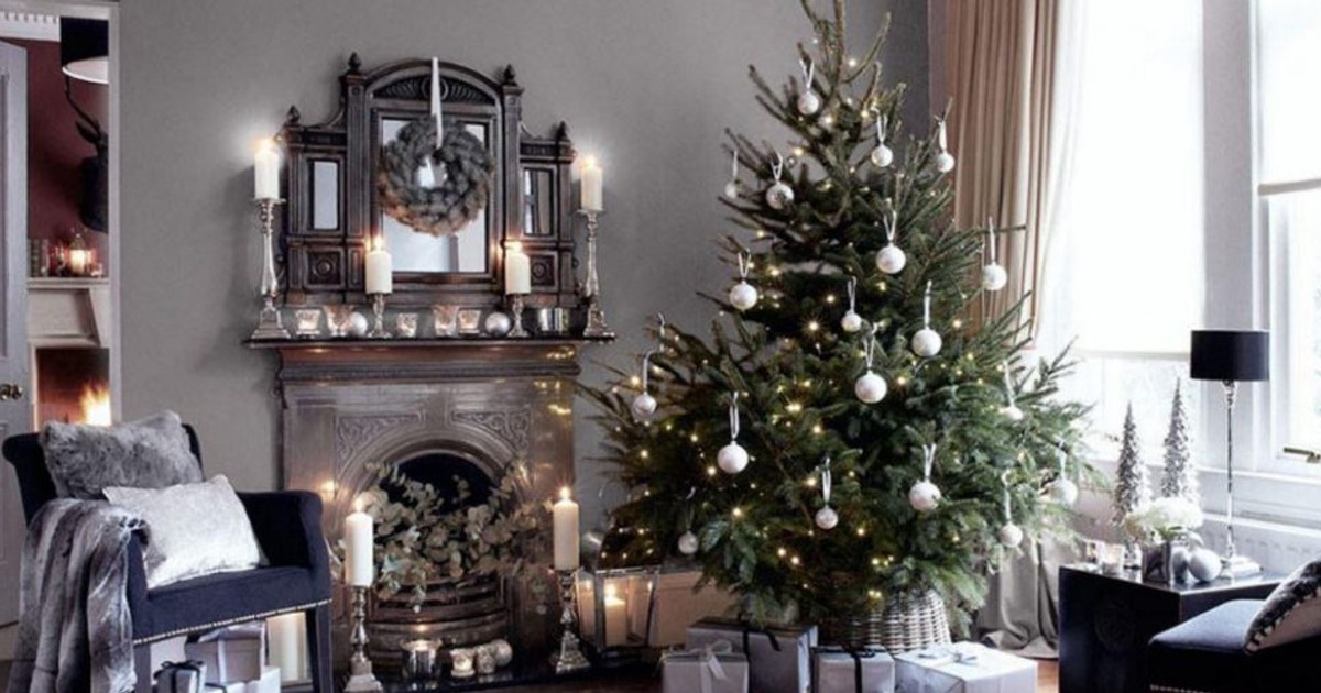 Real or Fake Christmas Tree - News - Ray White Toronto, North Lake ...