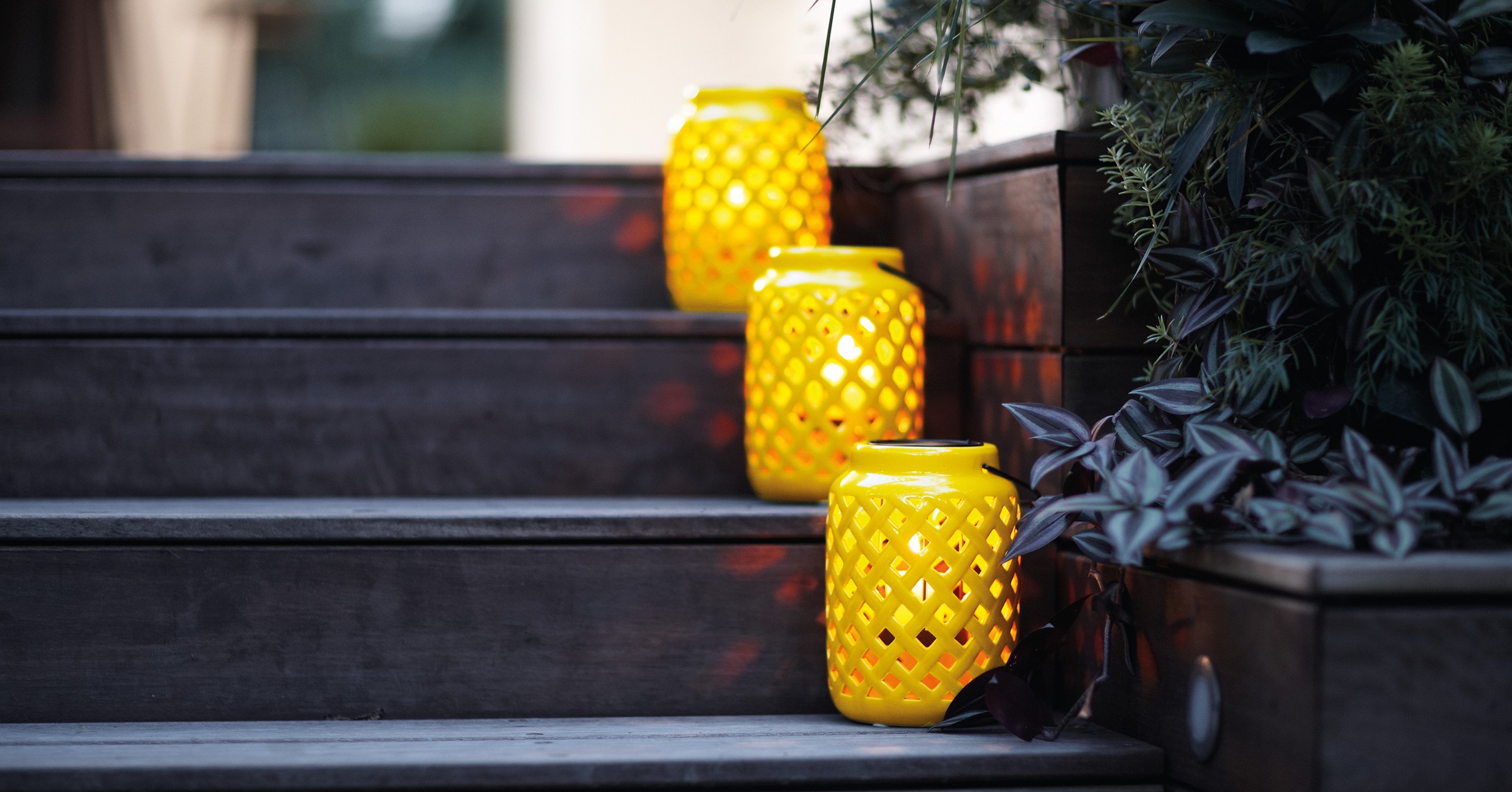 What happened to the markets in November 2016? - News - Ray White Upper ...