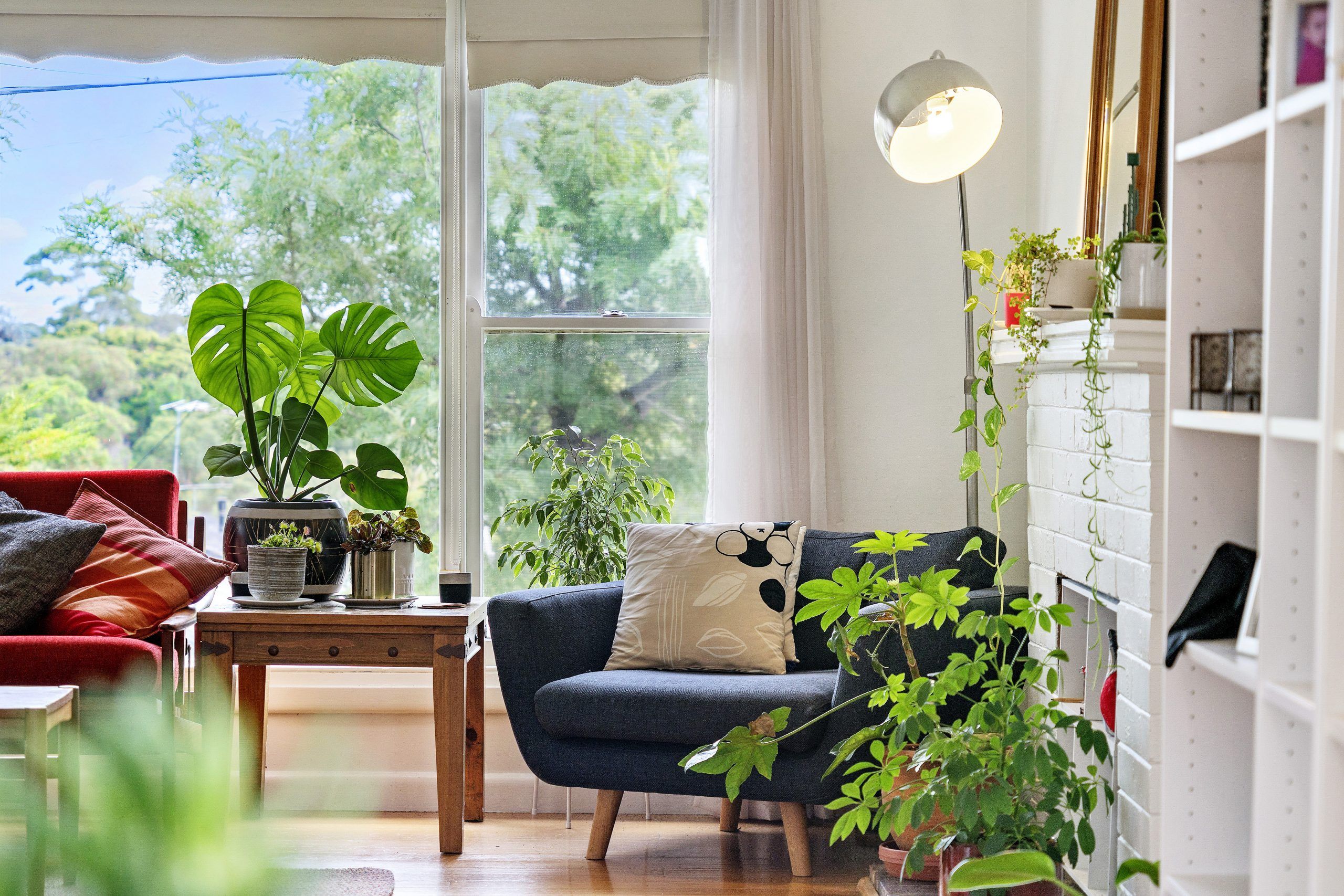 Bringing The Outdoors In A Quick Guide To Caring For Indoor Plants News Ray White Frankston