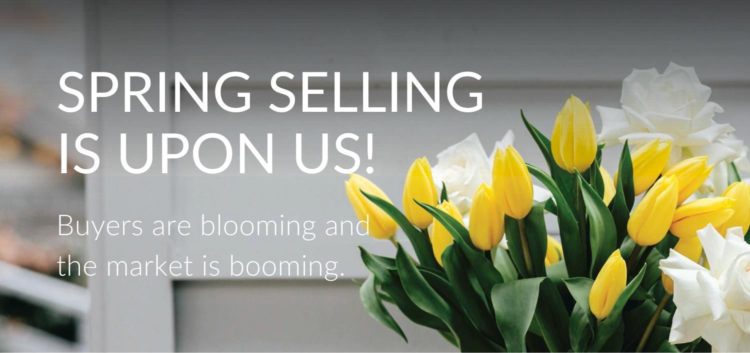 Spring Selling Is Upon Us! - News - Ray White Carlingford