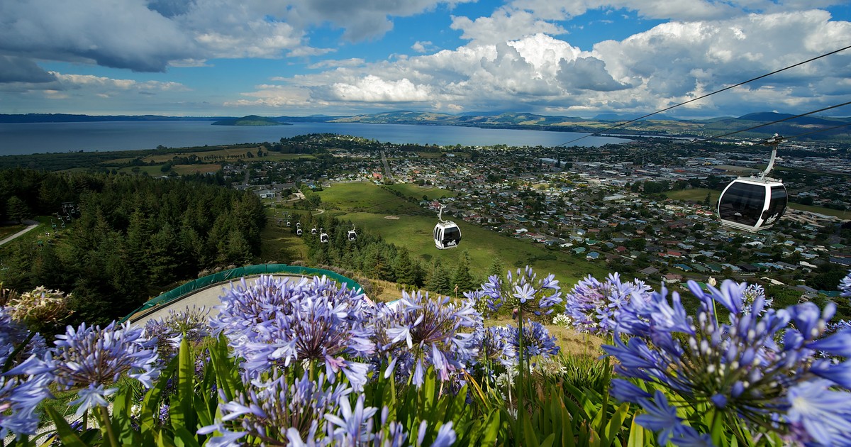 Ray Morrison Rotorua Ray White Rotorua