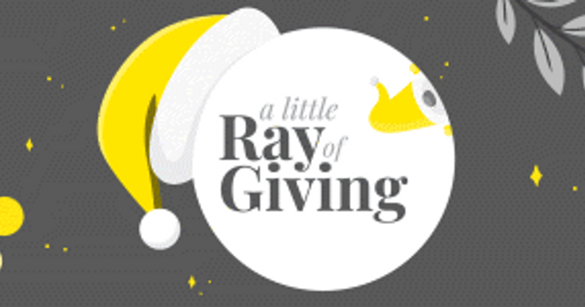 Alrog A Little Ray of Giving – 2024 - News - Ray White Bream Bay
