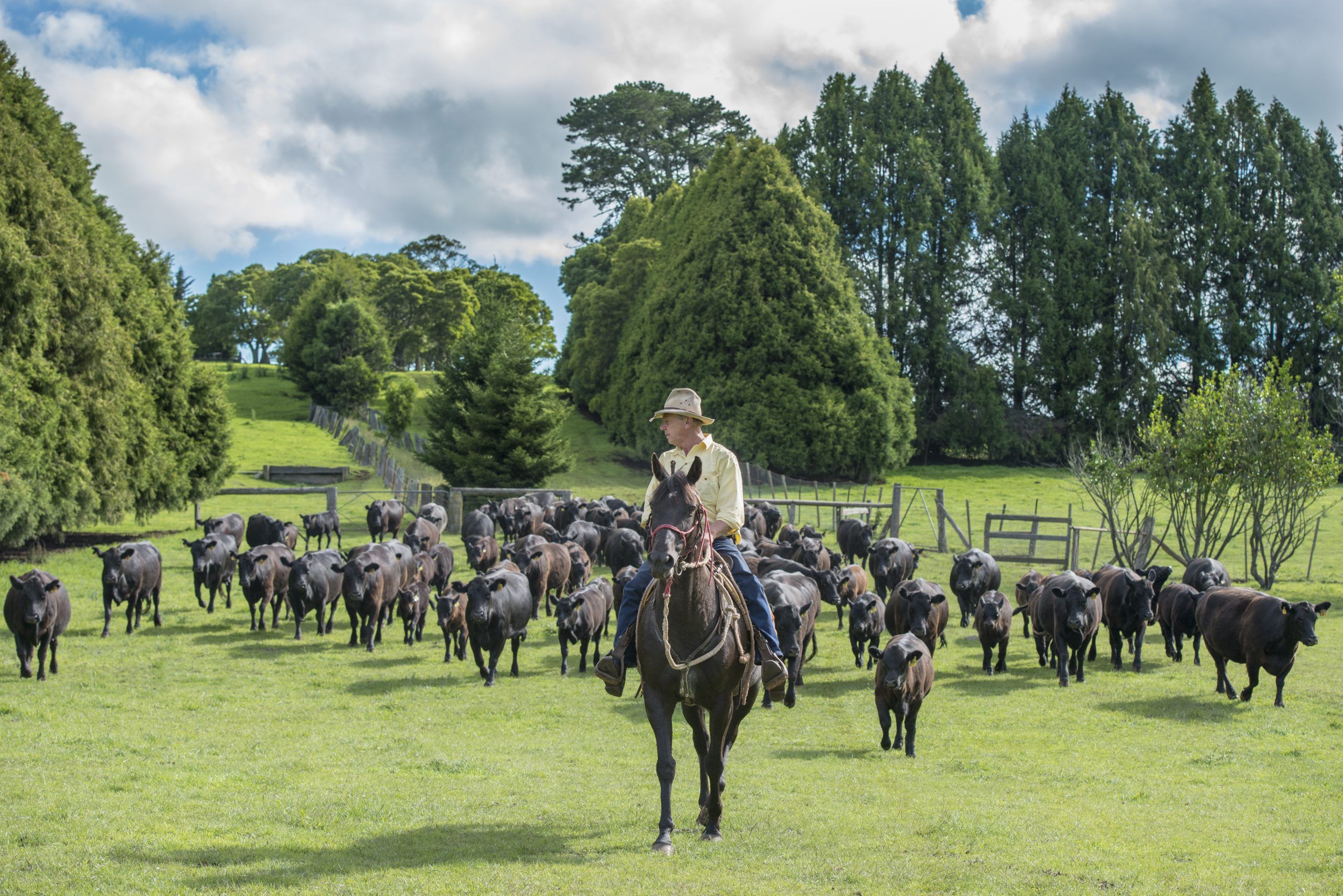 Ray White Rural Dorrigo Bellingen