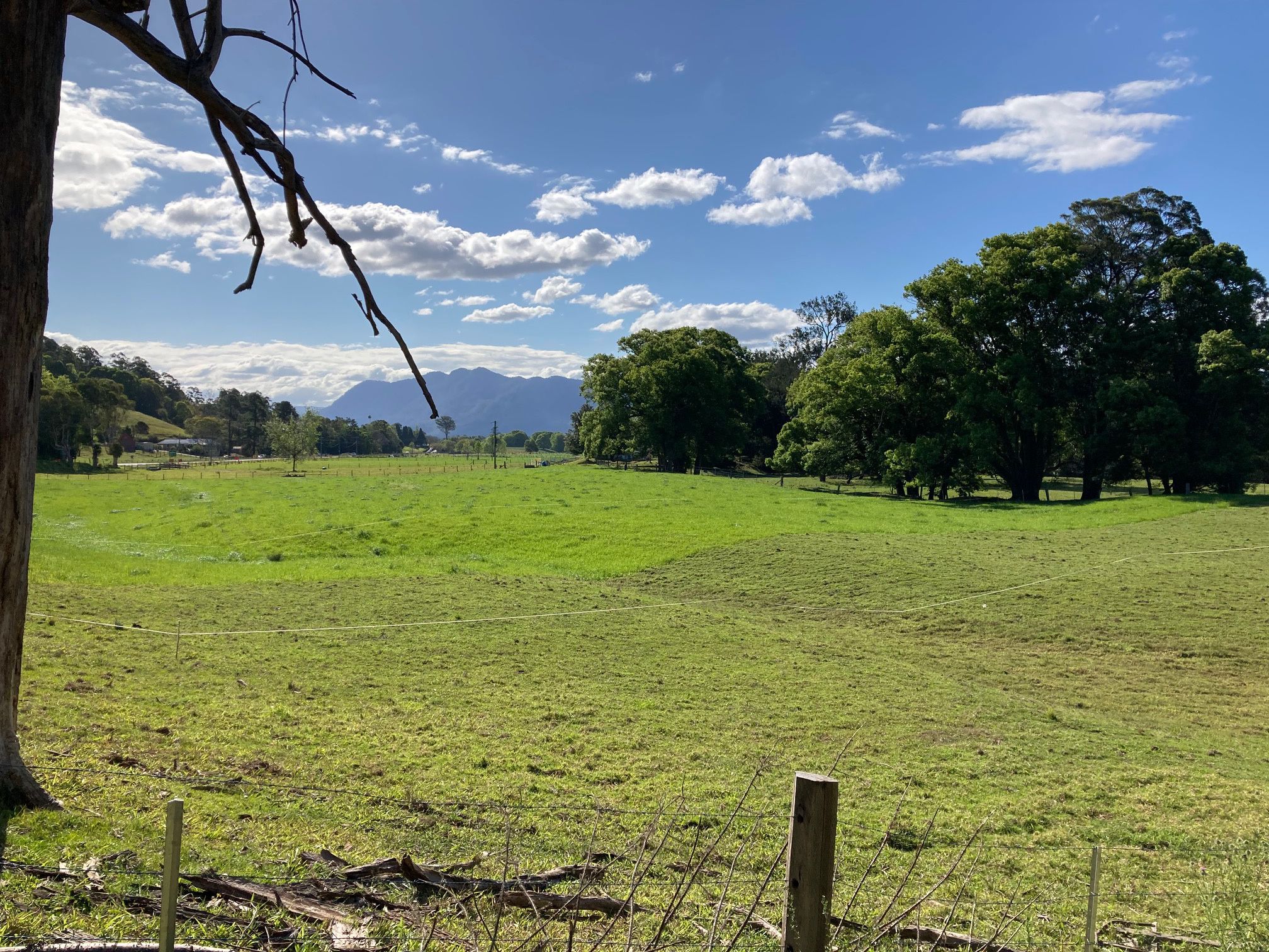 LOT 1 & 163 & 164 River Street, Bellingen, NSW 2454 Land for Sale