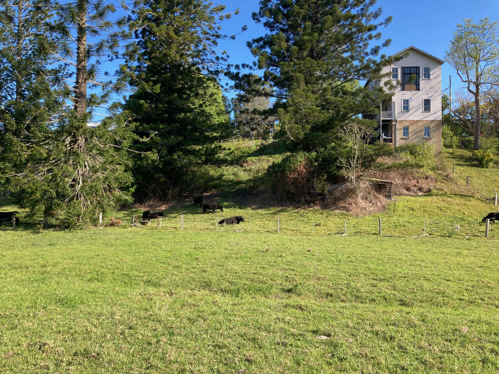 LOT 1 & 163 & 164 River Street, Bellingen, NSW 2454 Land for Sale Ray White Rural Dorrigo