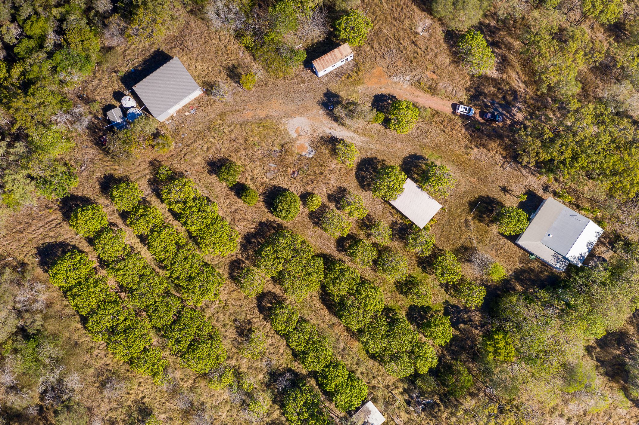 1130 Calliope River Road, West Stowe, QLD 4680