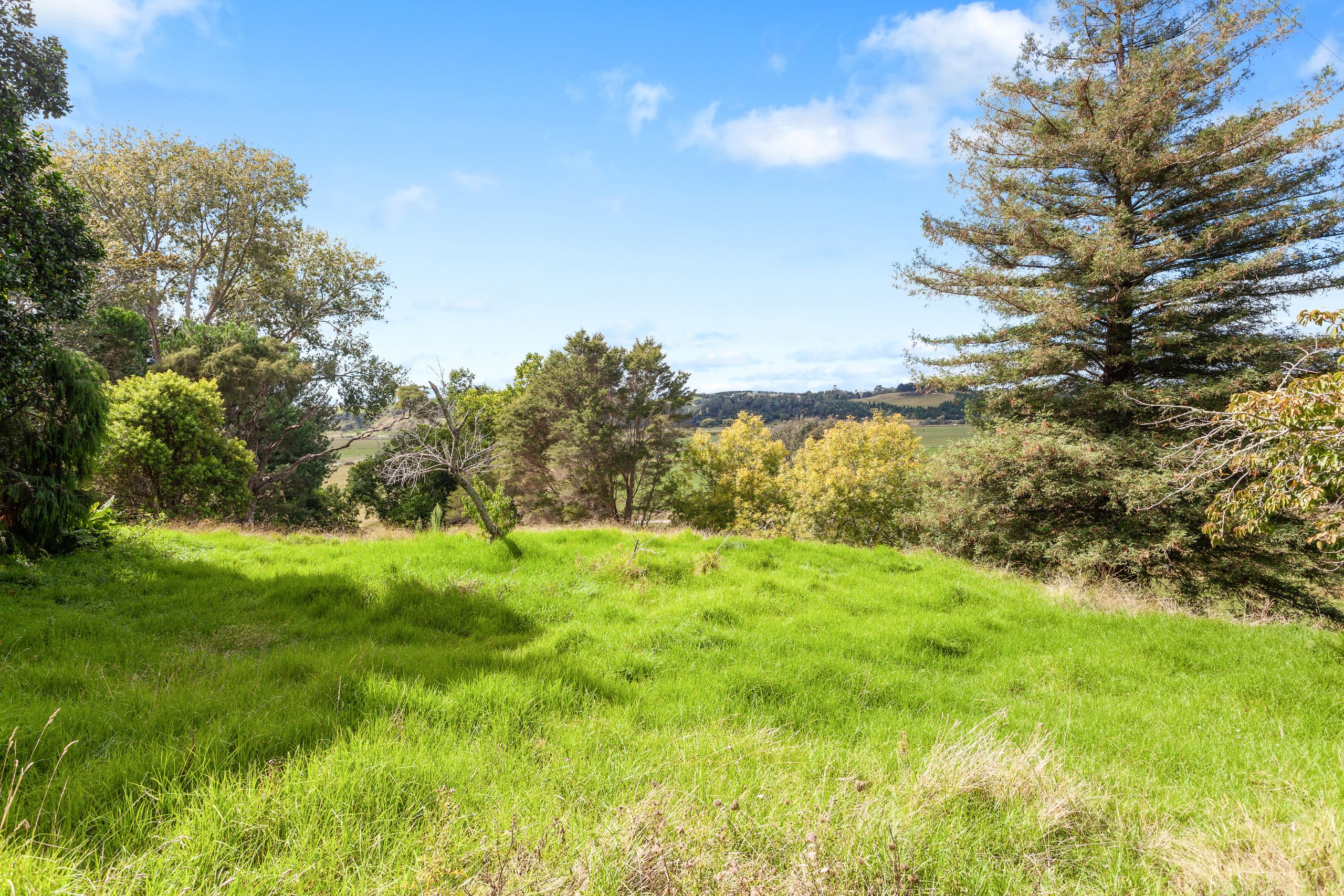 0 Looney Road, Opotiki, Opotiki District