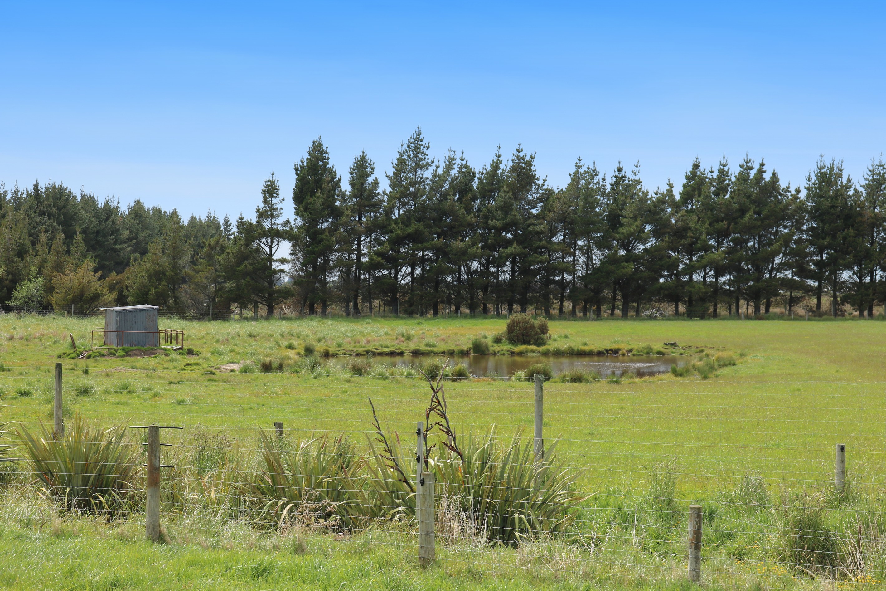 Invercargill Central, Invercargill