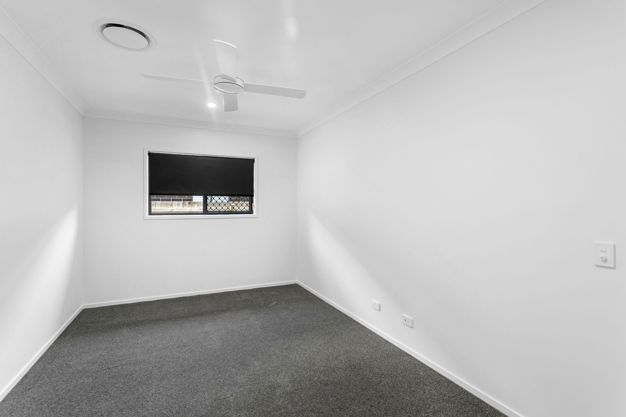 24 Stafford Street — photo 5 of 11