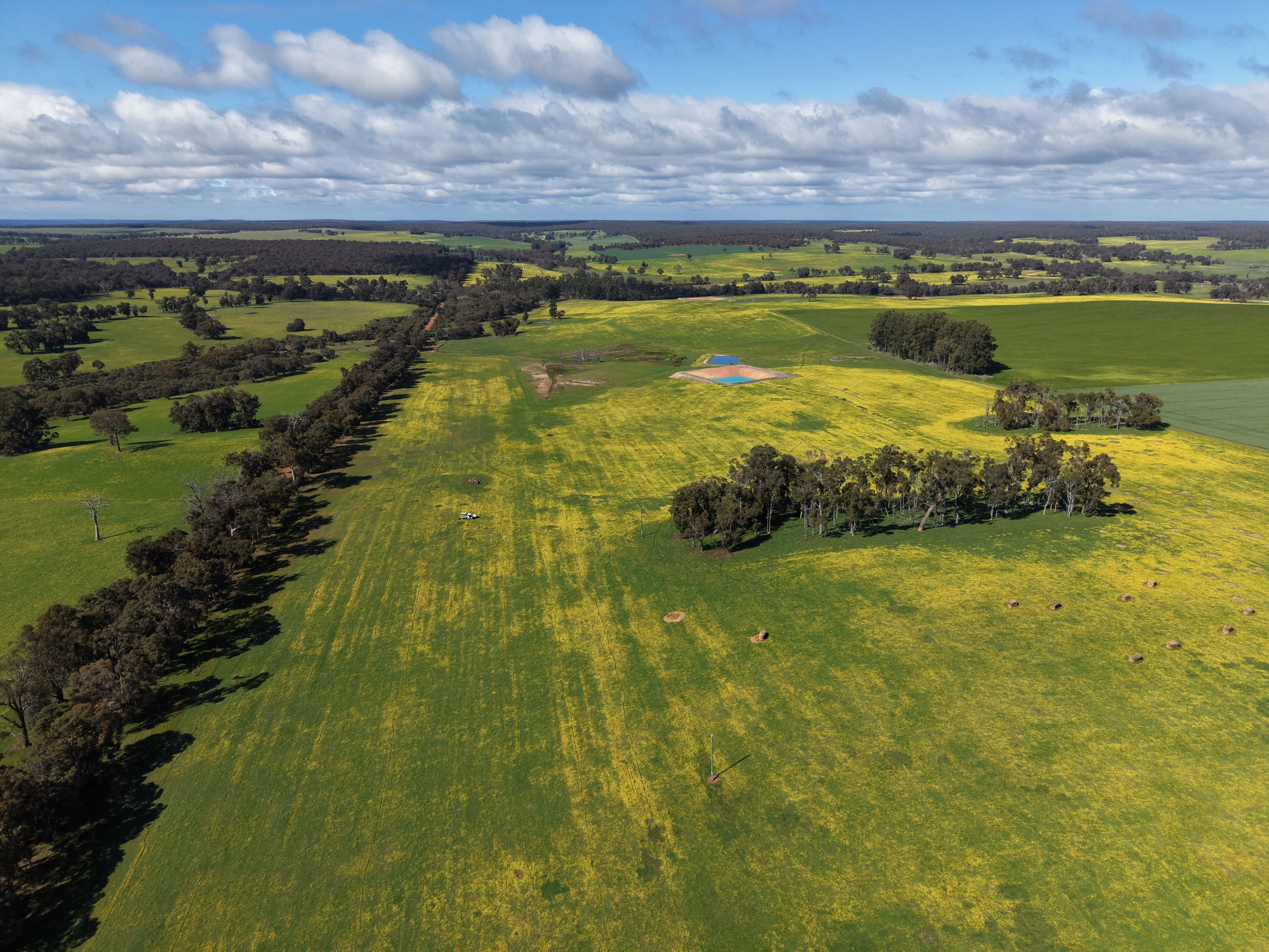 PL 807 Kulikup Road South, Scotts Brook, WA 6244