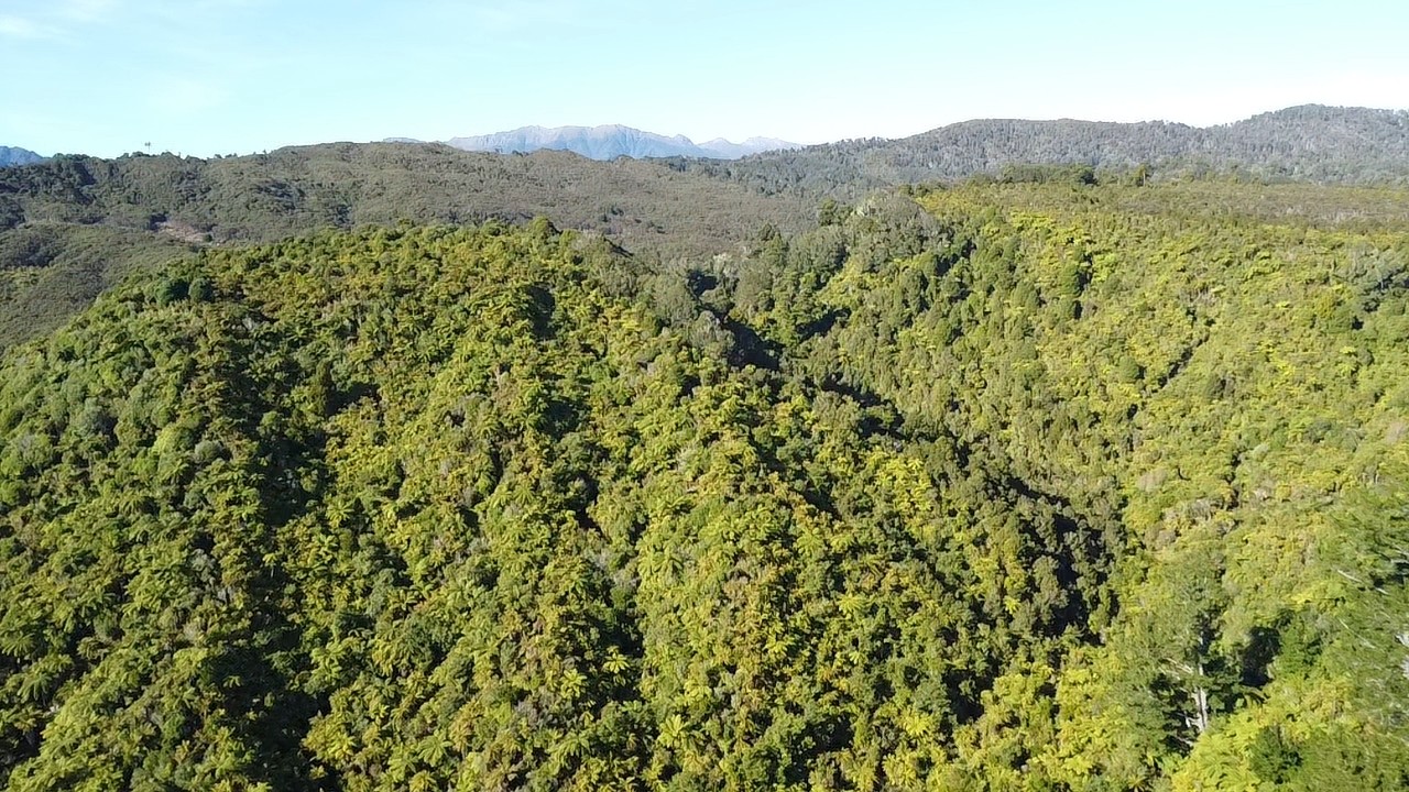 844 Nikau Road, State Highway 67, Mokihinui, Buller District