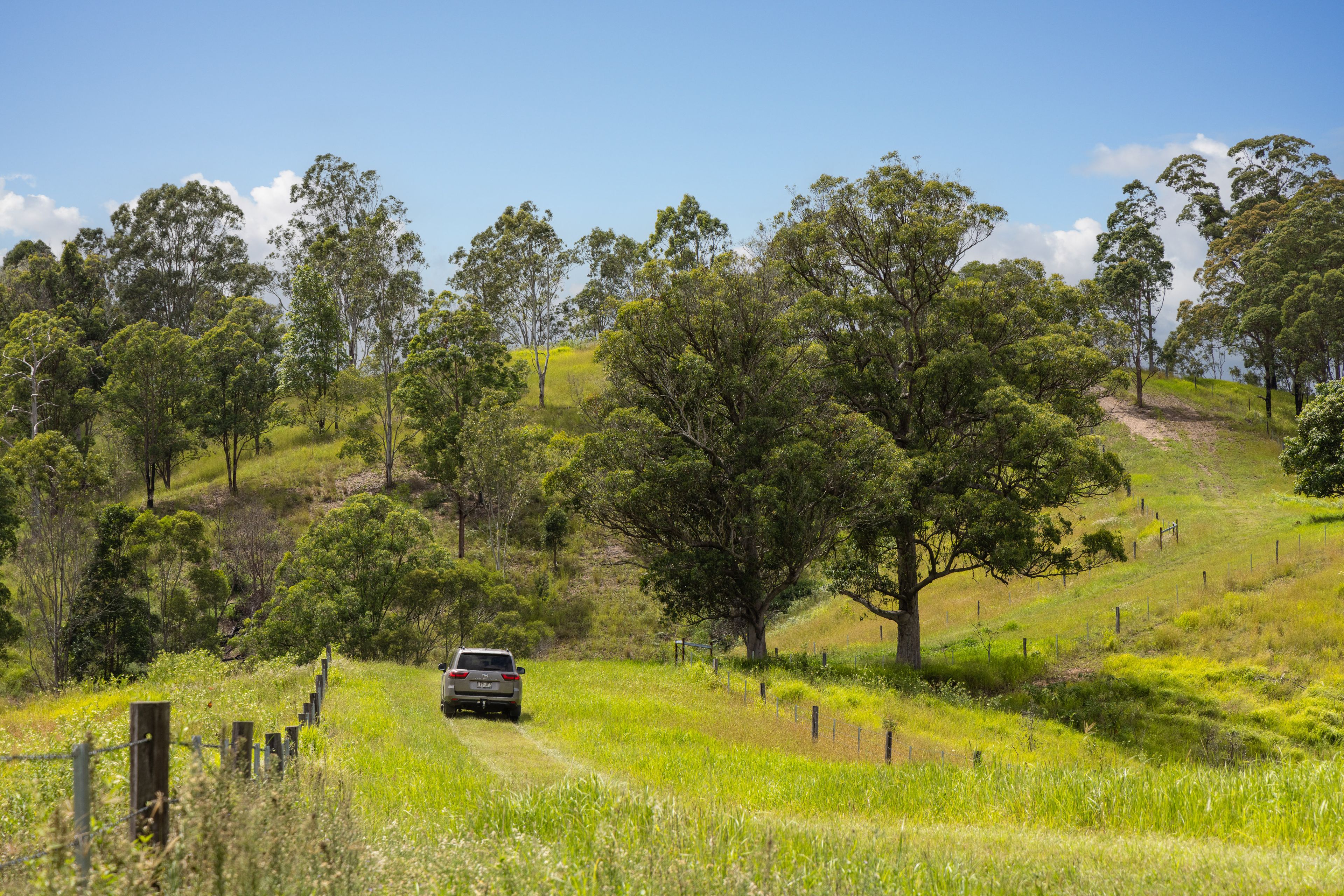 'Young Hills' — photo 18 of 30