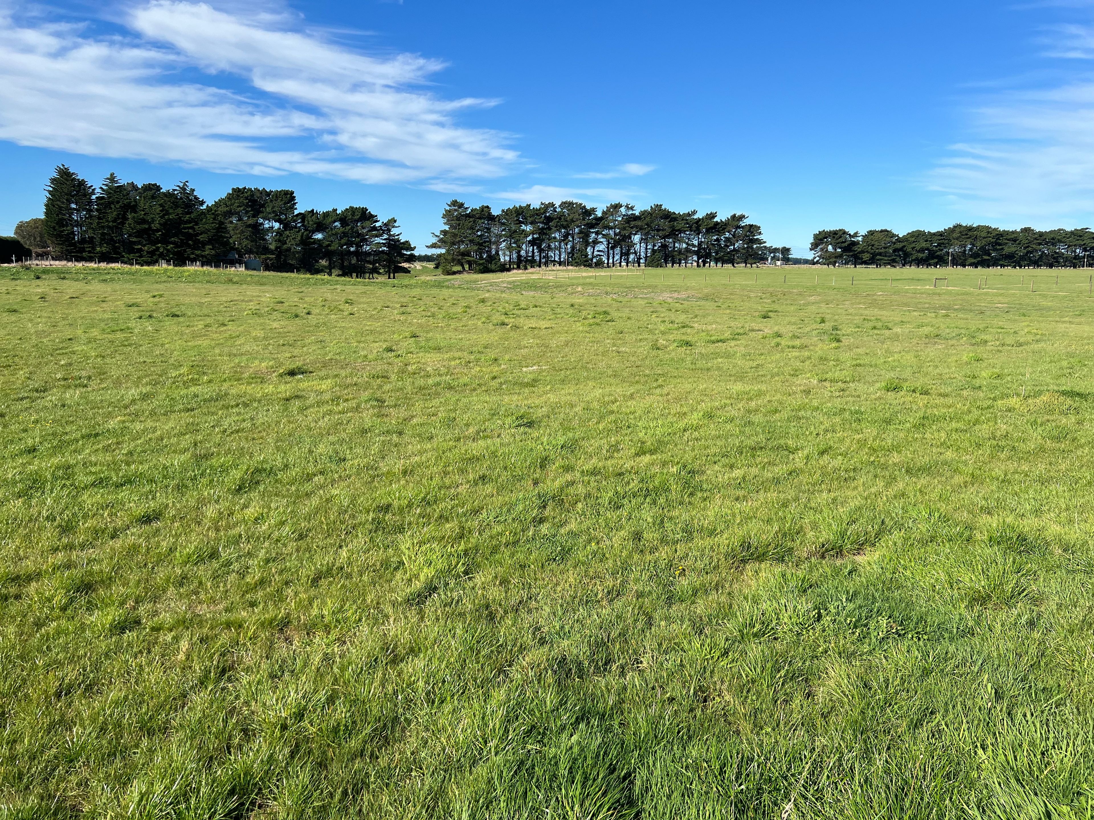 23 Wilson South Road, Motu Rimu, Invercargill 9812 - Sold Lifestyle ...