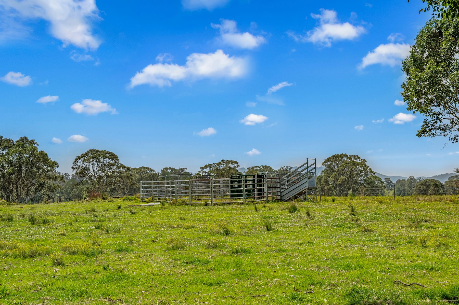 88 Germons Lane, Craven via — photo 9 of 30
