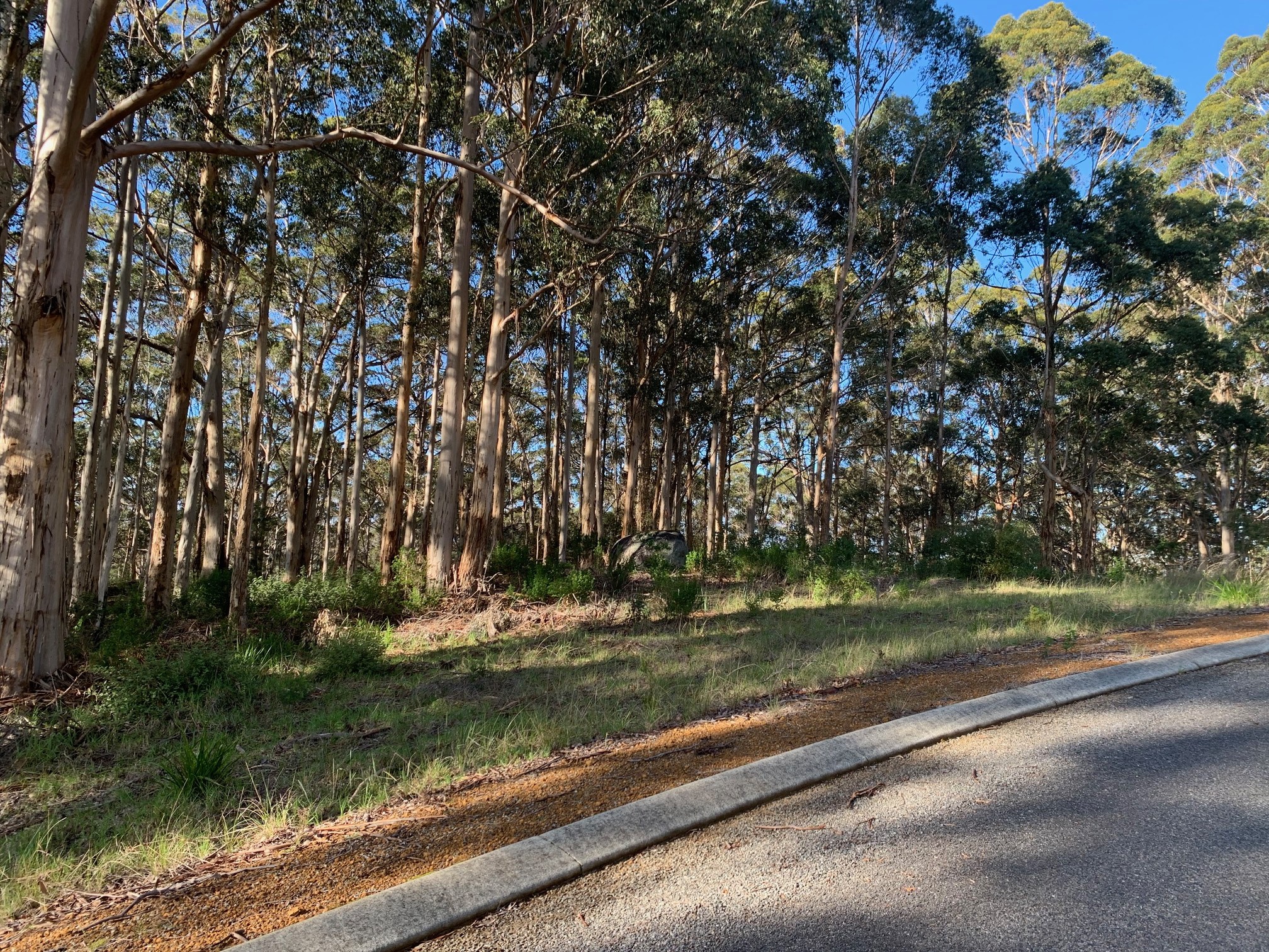 37 Mill Place, Shadforth, WA 6333