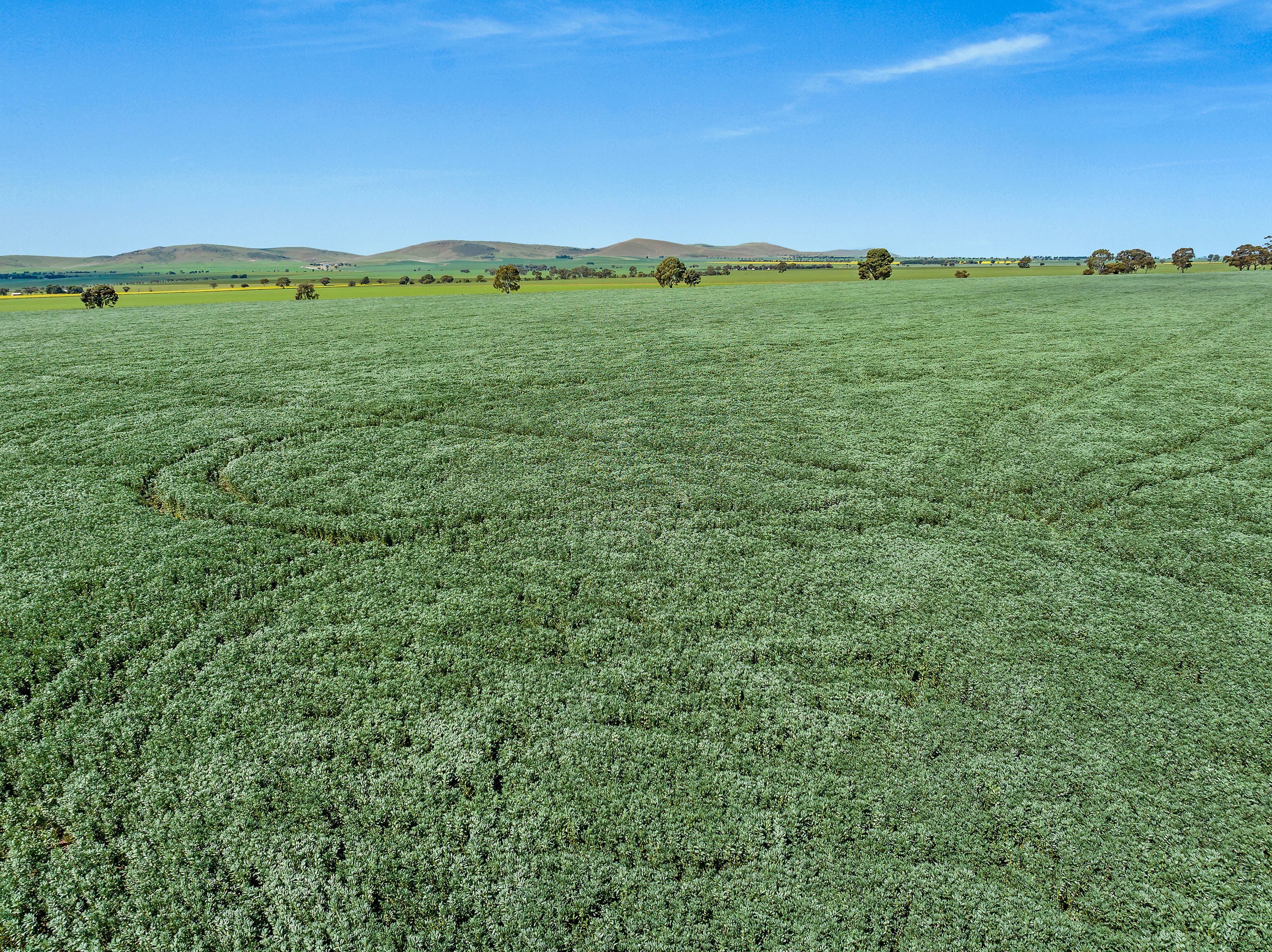 'Crawford Park' Road, SA 5472 Sold Rural Cropping Property