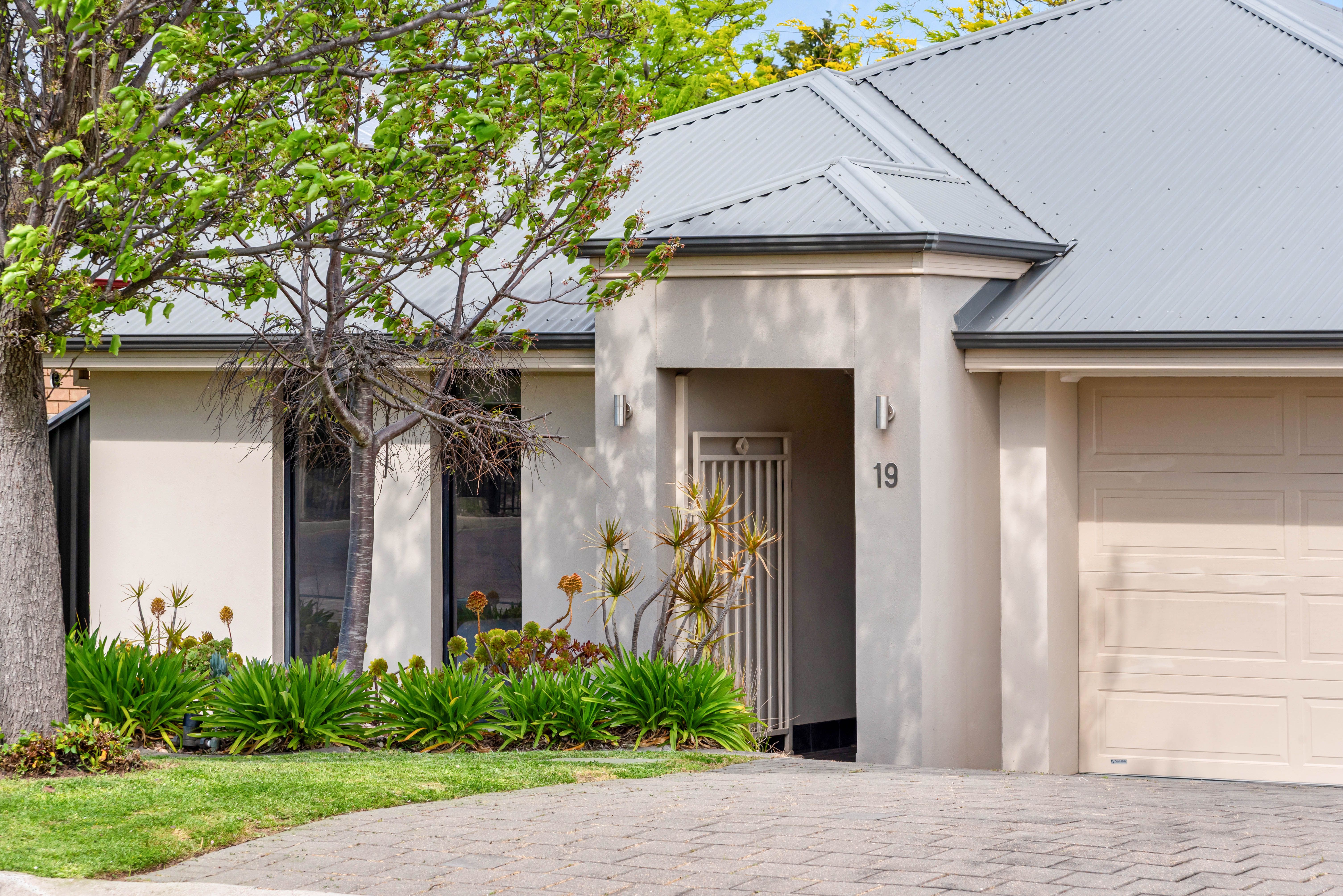 19 Acacia Grove, Flagstaff Hill, SA 5159