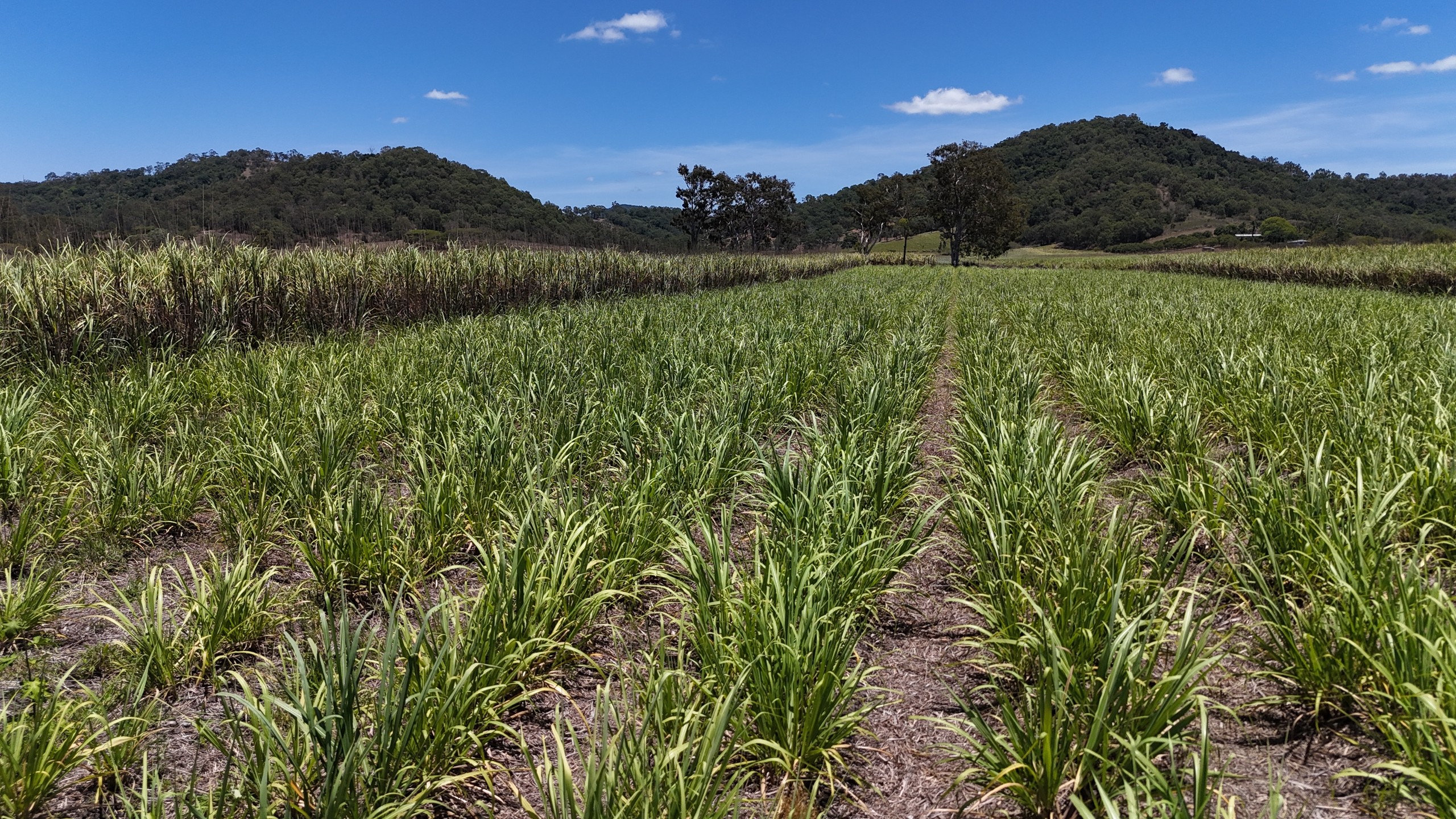 26 Ventons Road, Sarina, QLD 4737