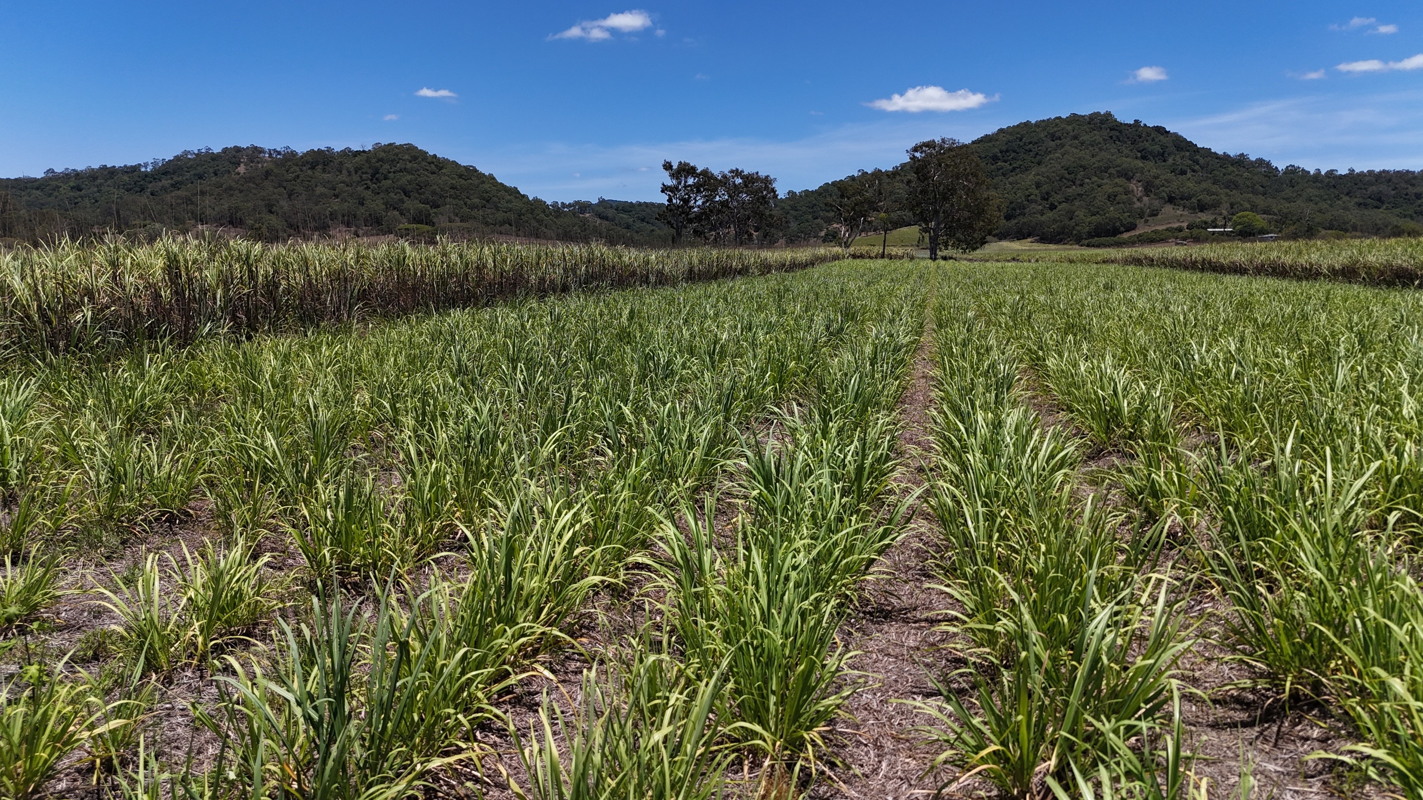 26 Ventons Road, Sarina, QLD 4737