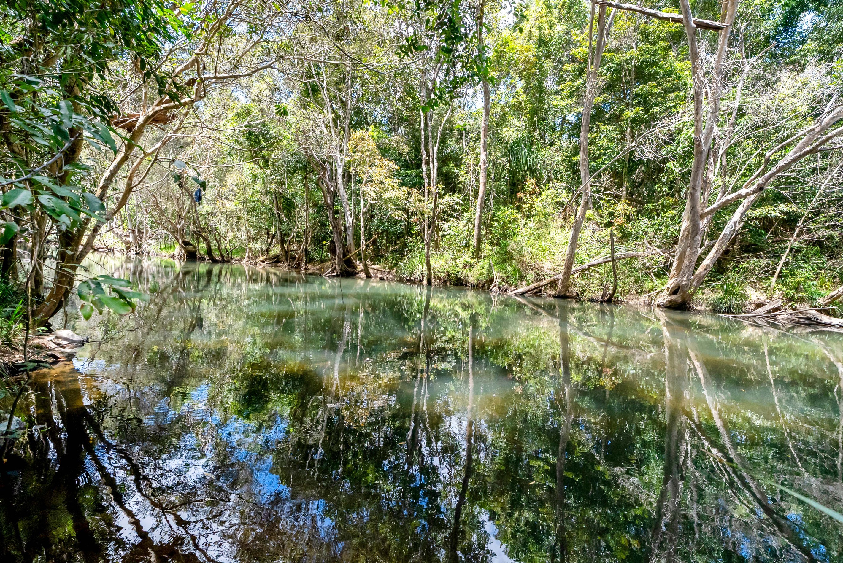 133 Cedar Park Road, Koah, QLD 4881