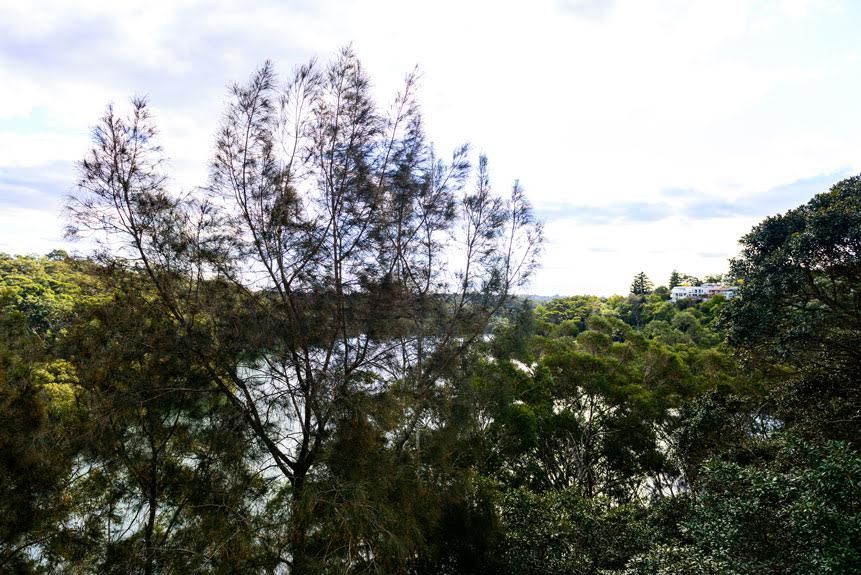 11/315 Burns Bay Road, Lane Cove, NSW 2066