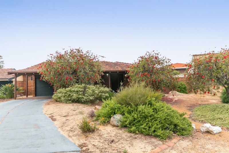 51B Mannion Way, Kardinya, WA 6163