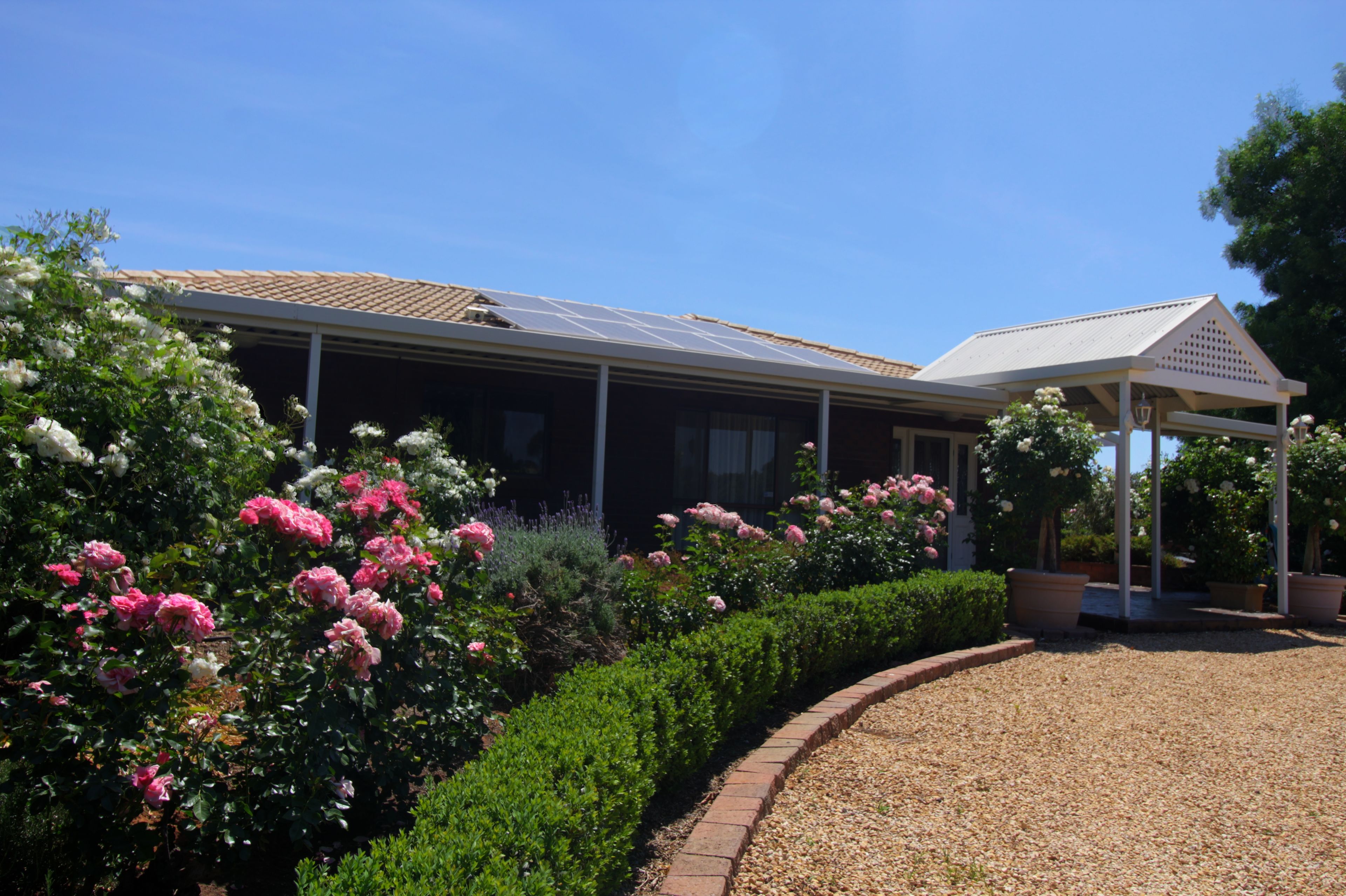194 Winkie Road, Winkie, SA 5343