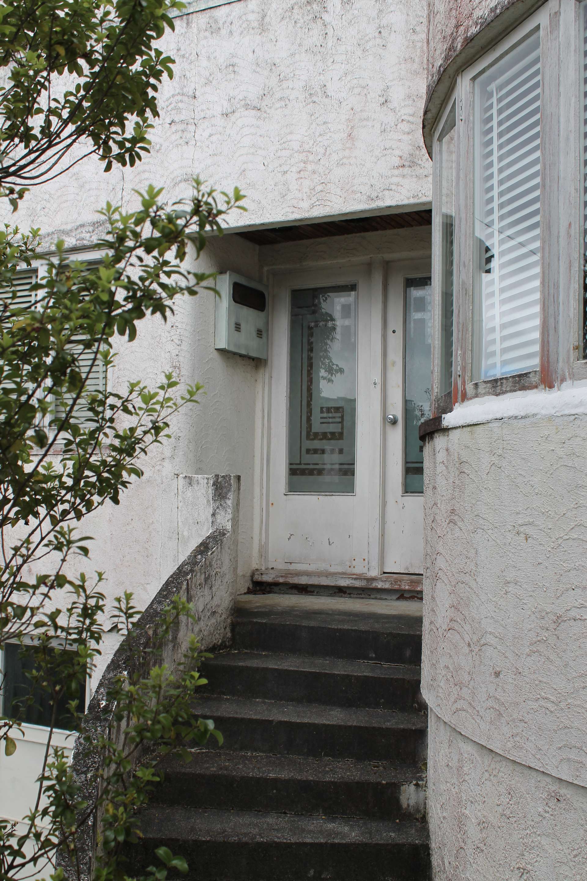 25 Williamson Avenue photo 8