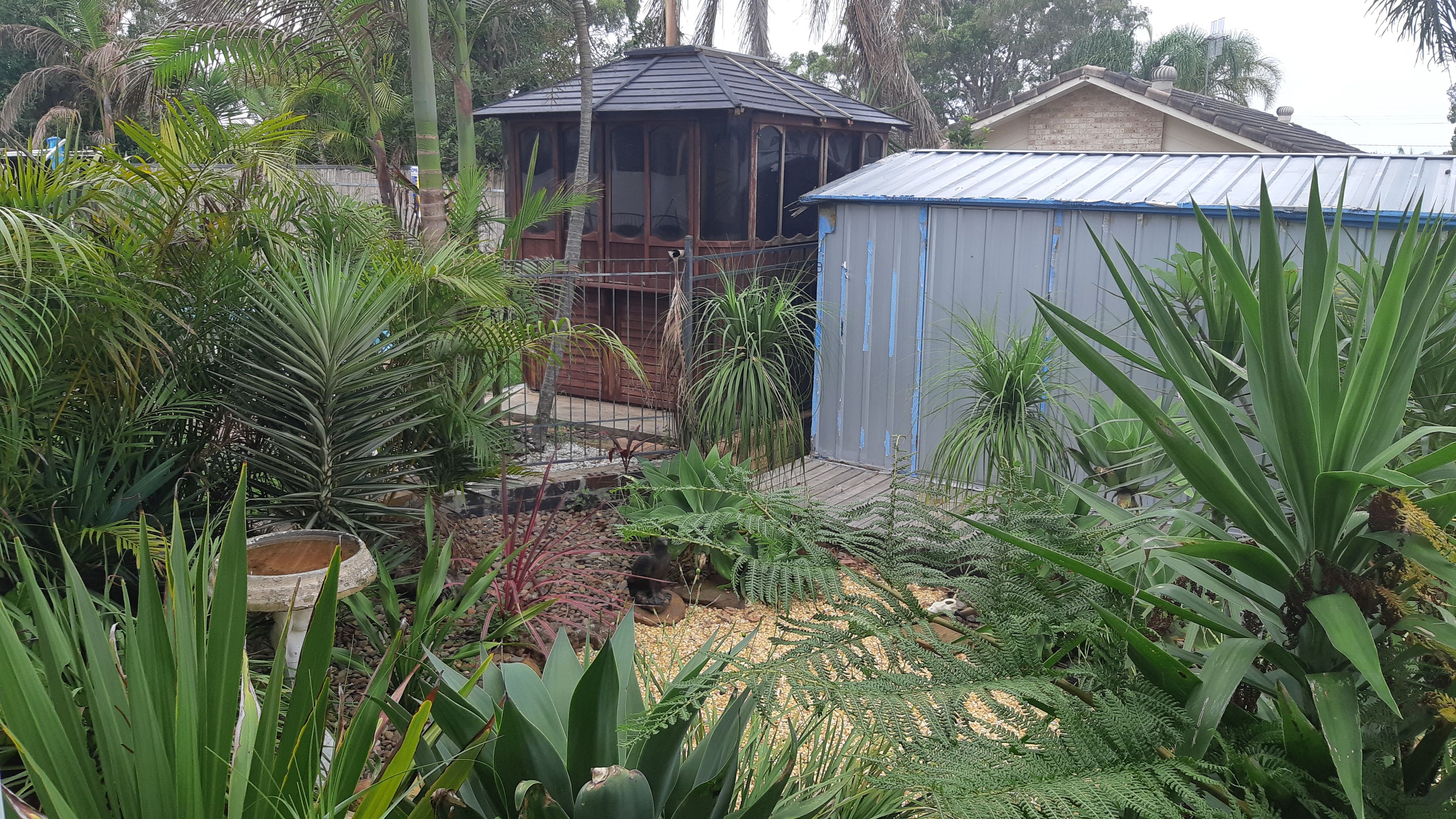 157 Manoa Road, Budgewoi, NSW 2262