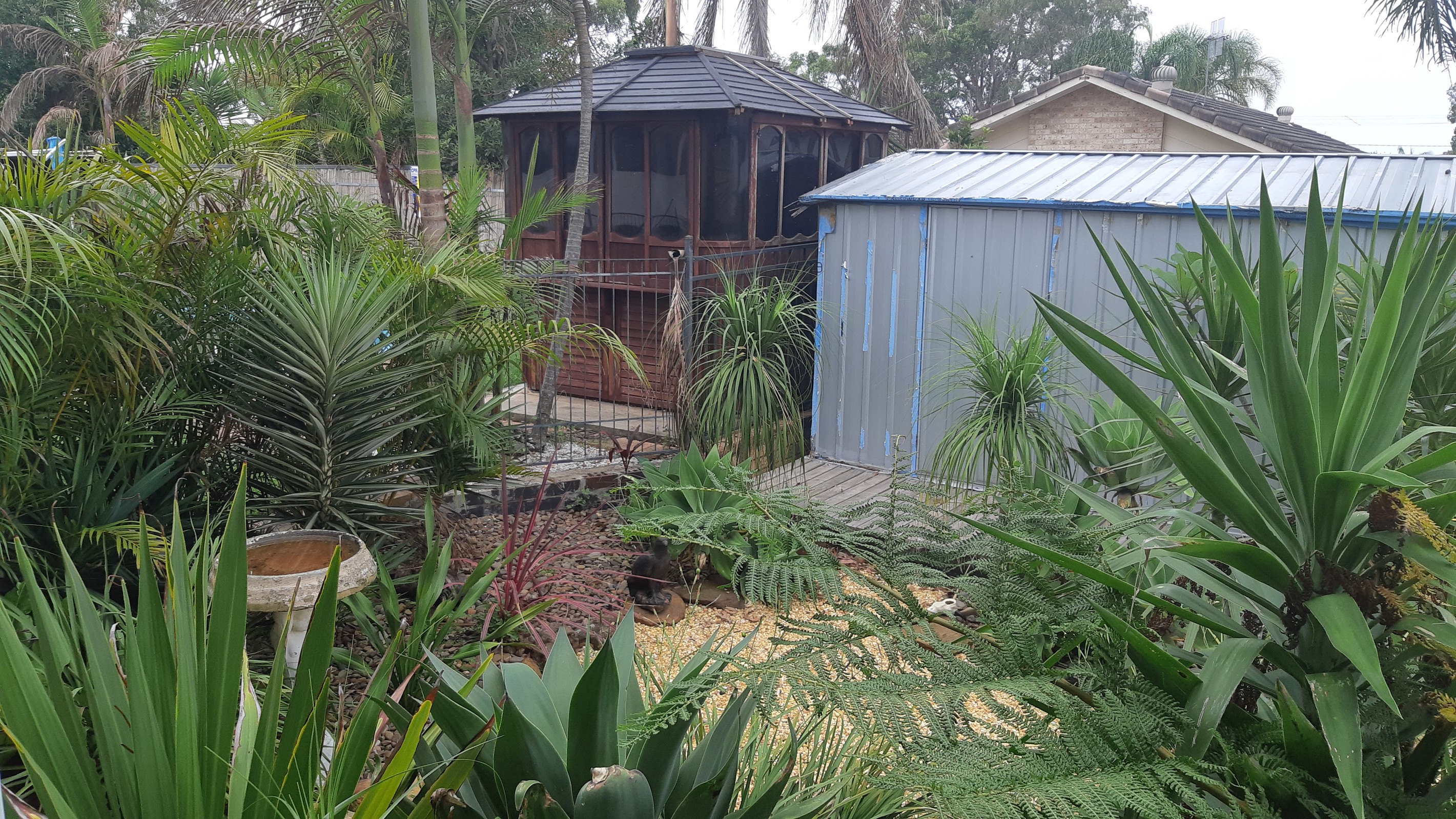 157 Manoa Road, Budgewoi, NSW 2262