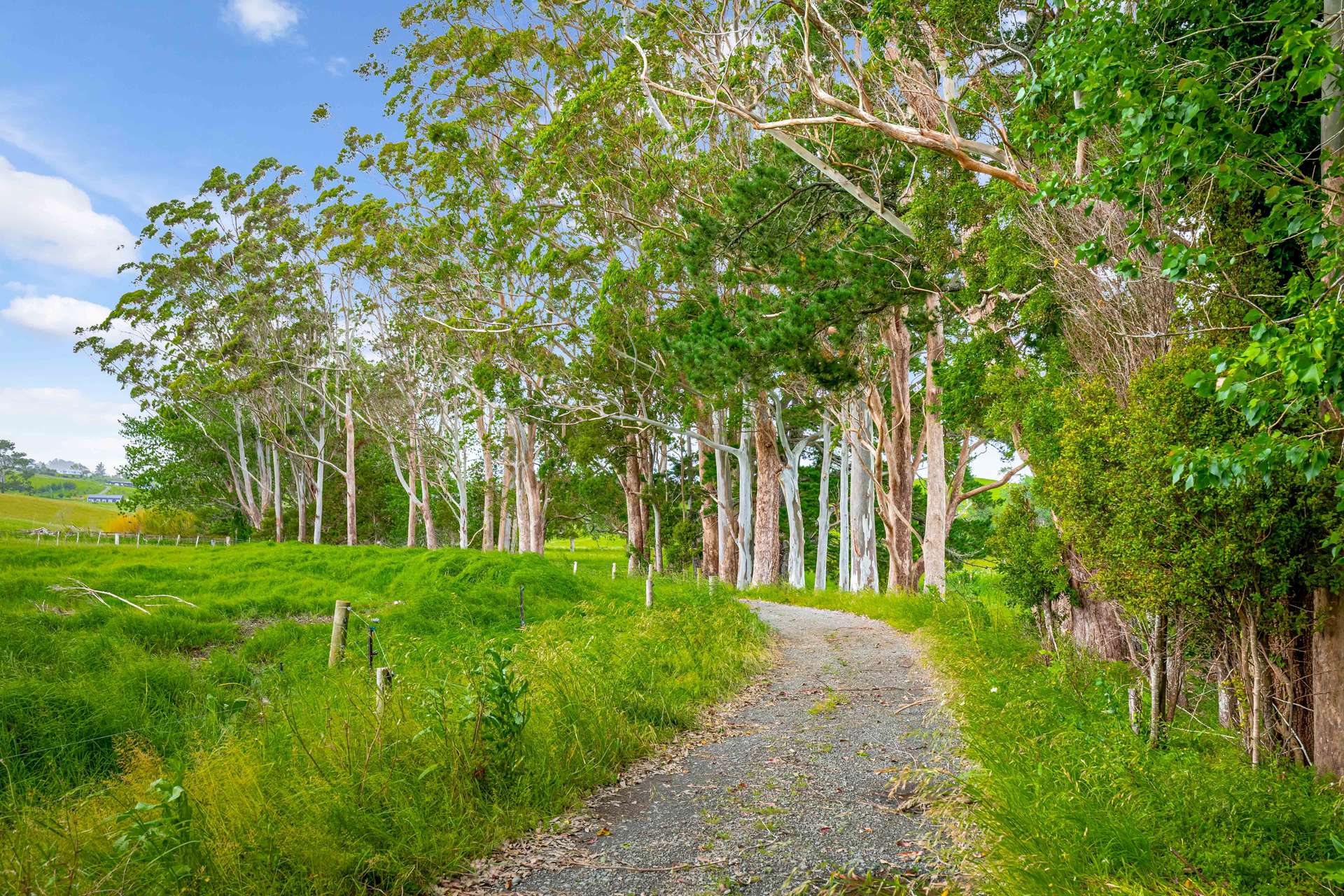 515 Kahikatea Flat Road photo 0