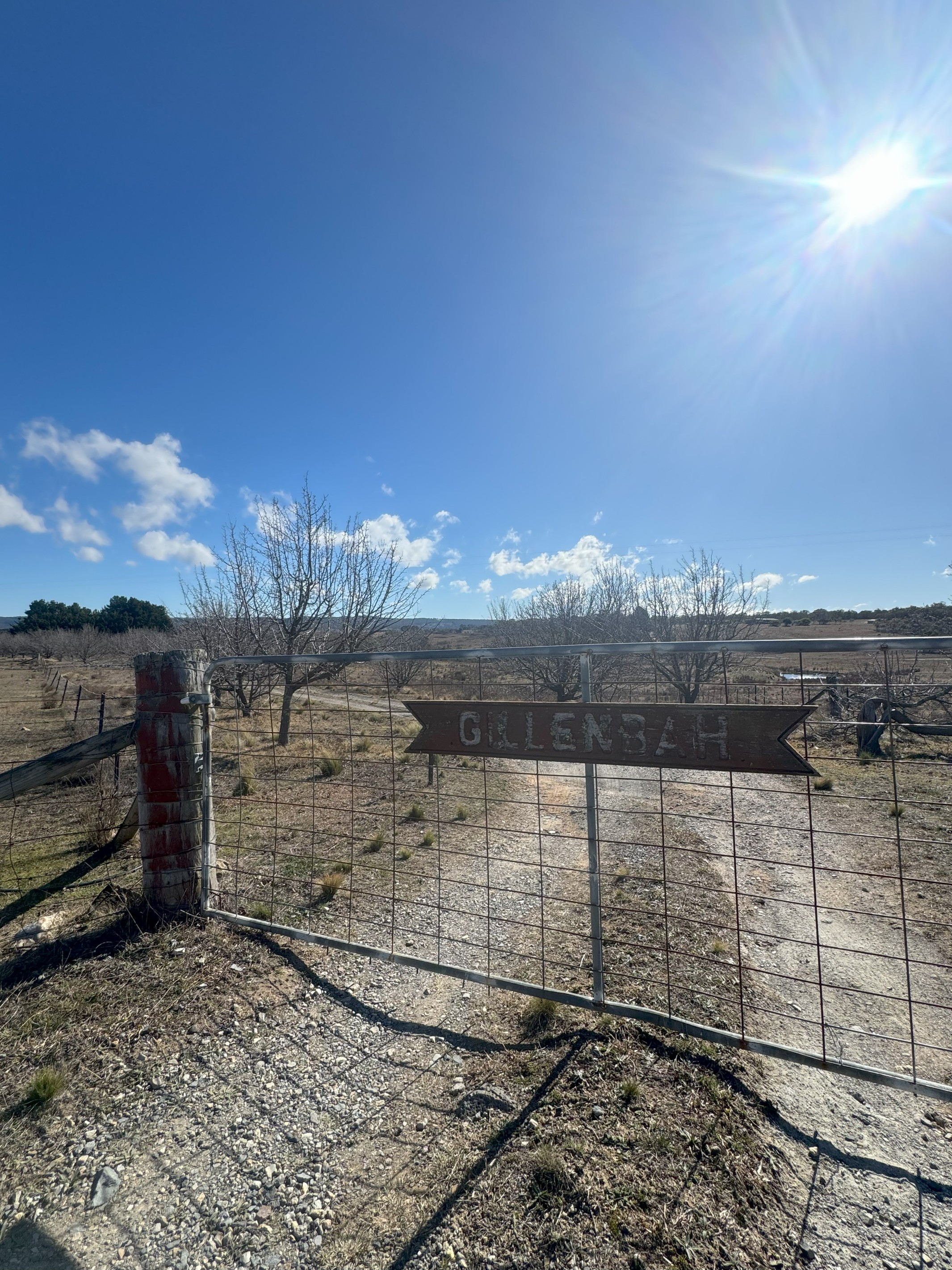 100 Pomeroy Mill Ford Road, Mummel, NSW 2580