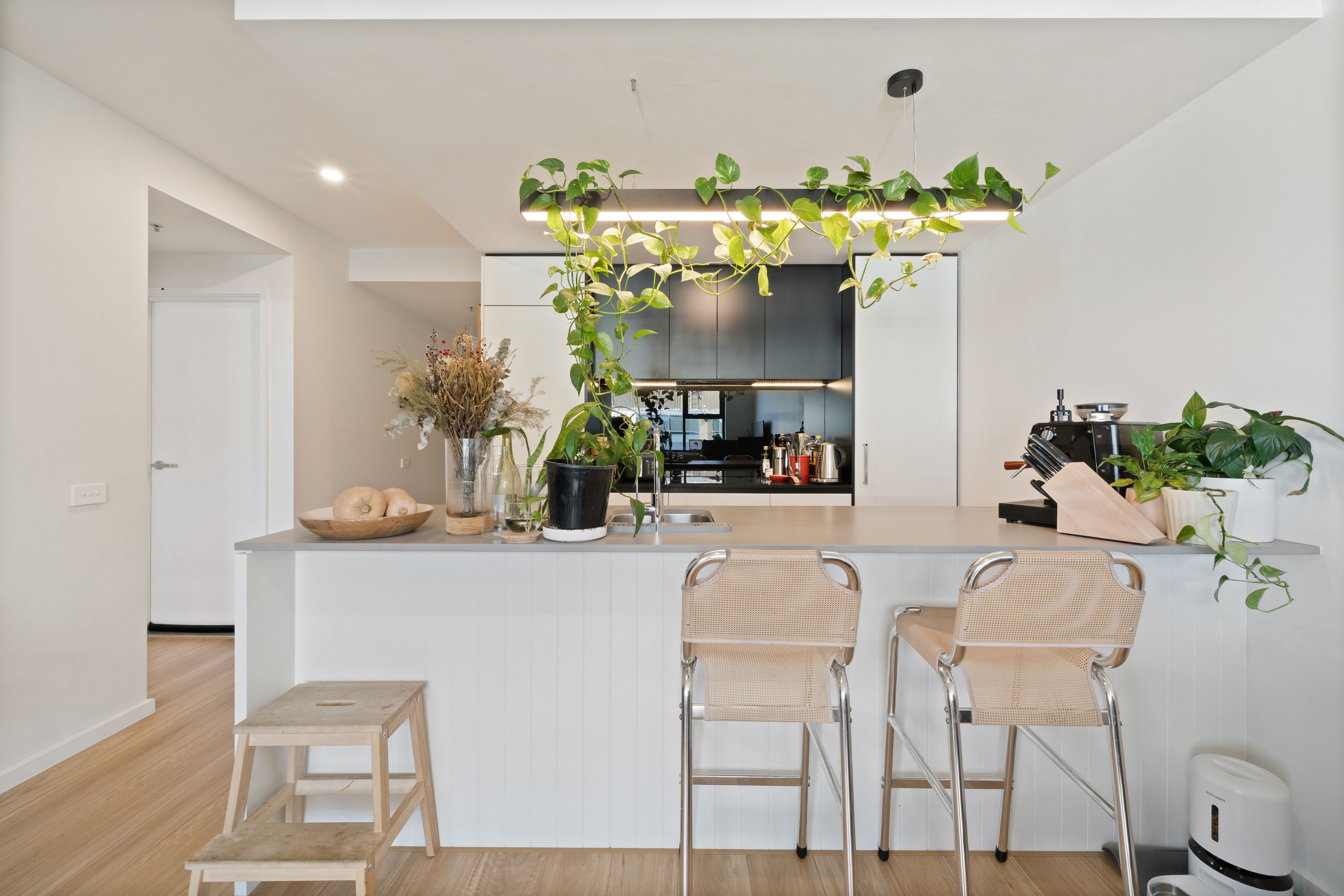 704/484 Northbourne Avenue, Dickson, ACT 2602