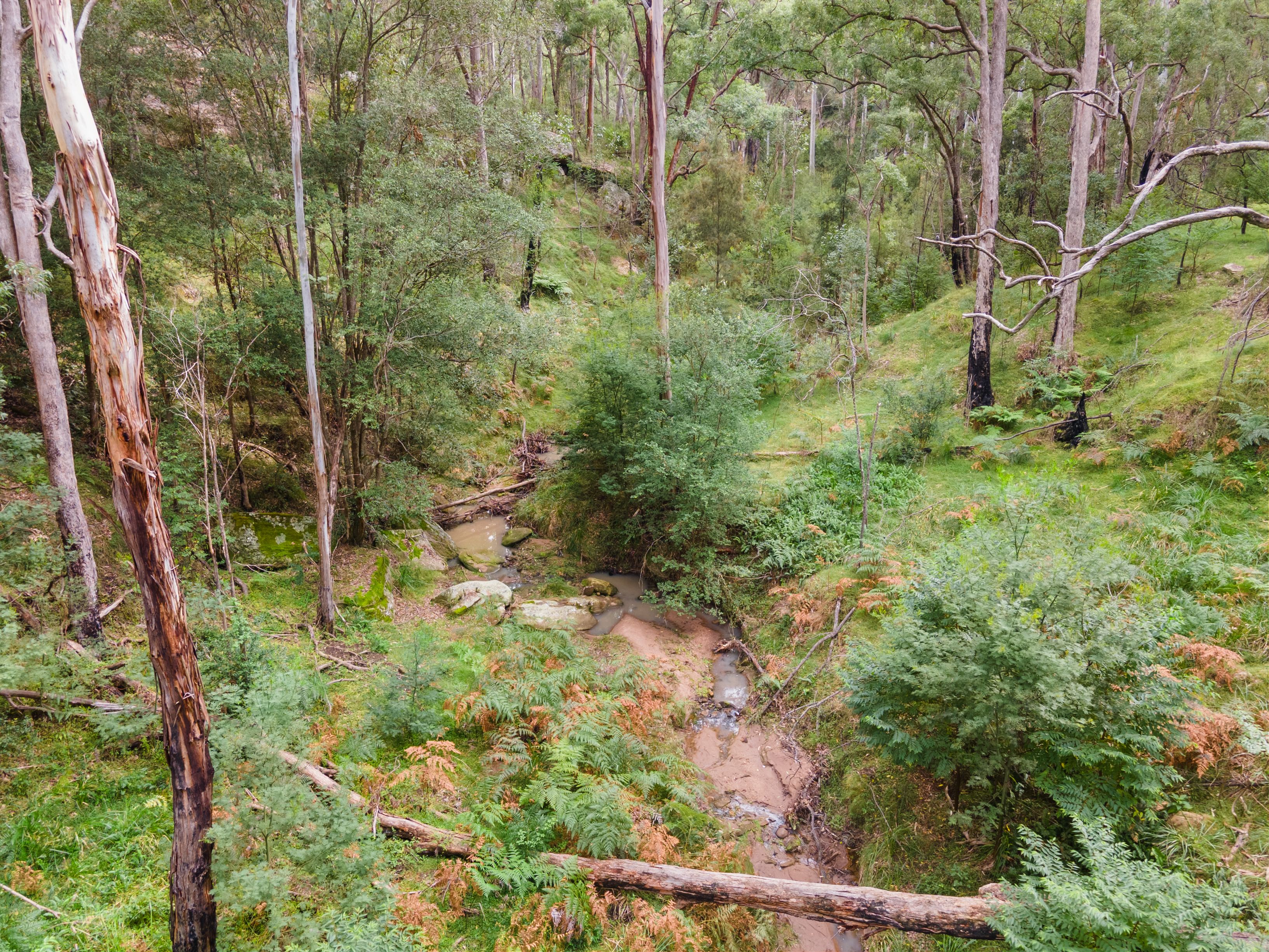 4320 Putty Road, Howes Valley, NSW 2330 Land for Sale Ray White