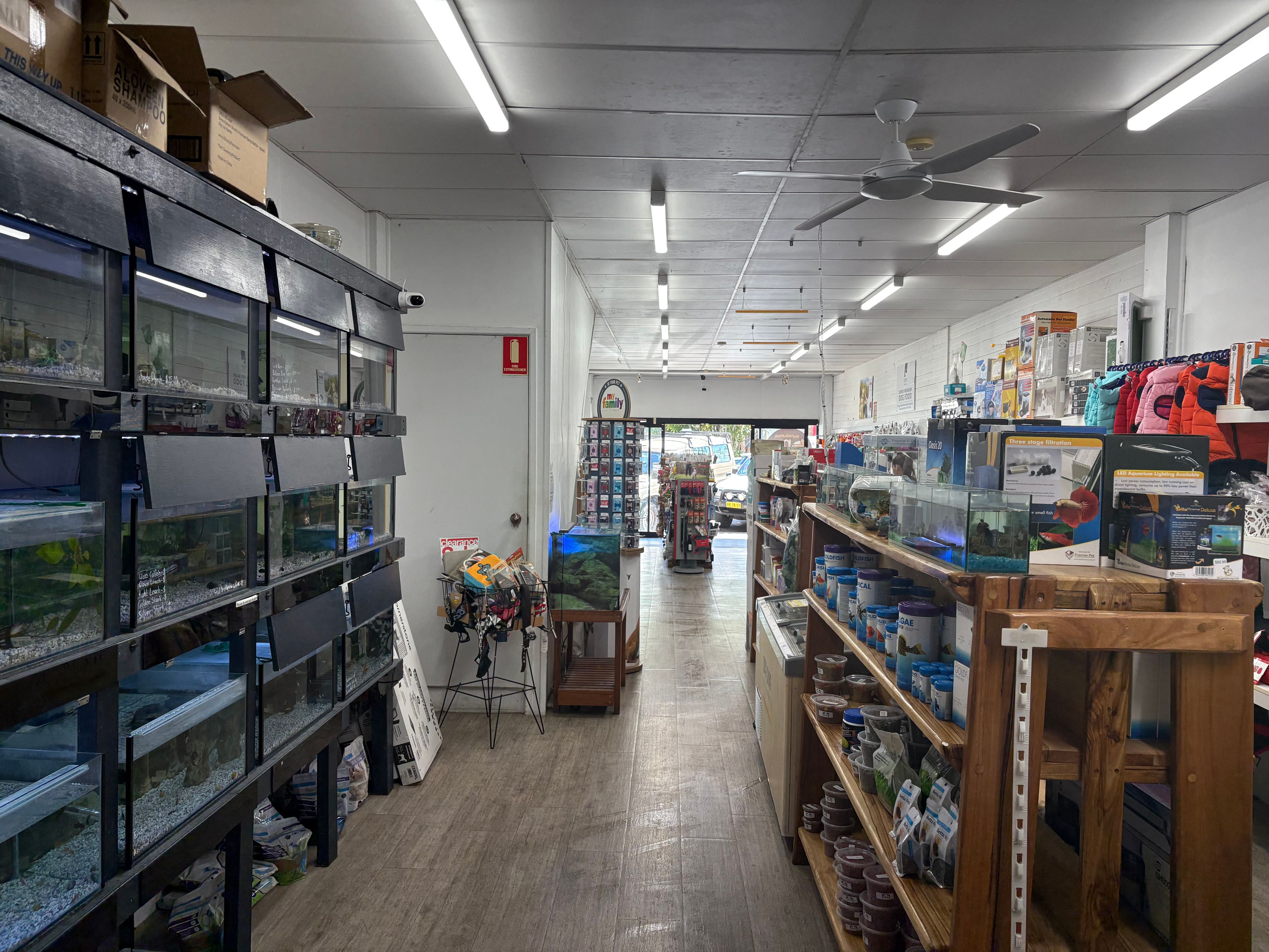 82 Murwillumbah Street, Murwillumbah, NSW 2484