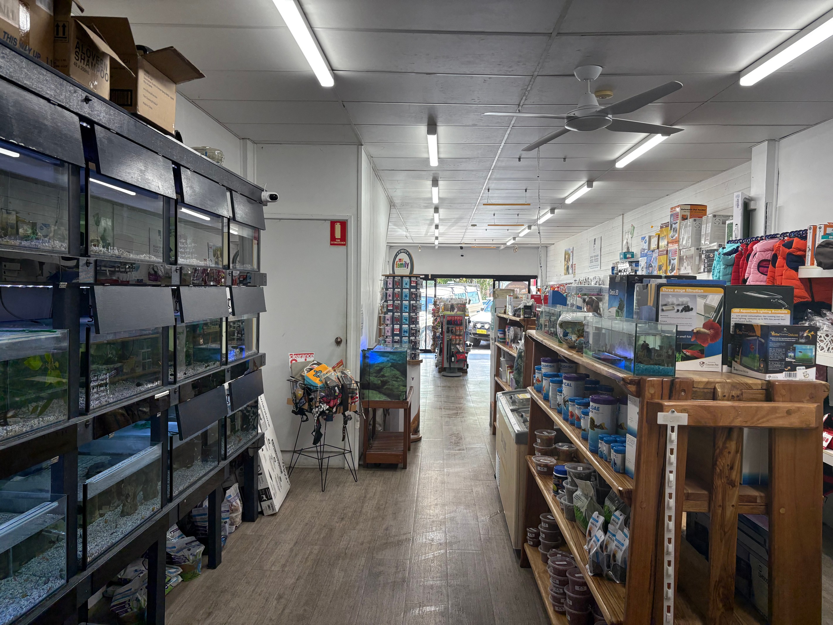 82 Murwillumbah Street, Murwillumbah, NSW 2484