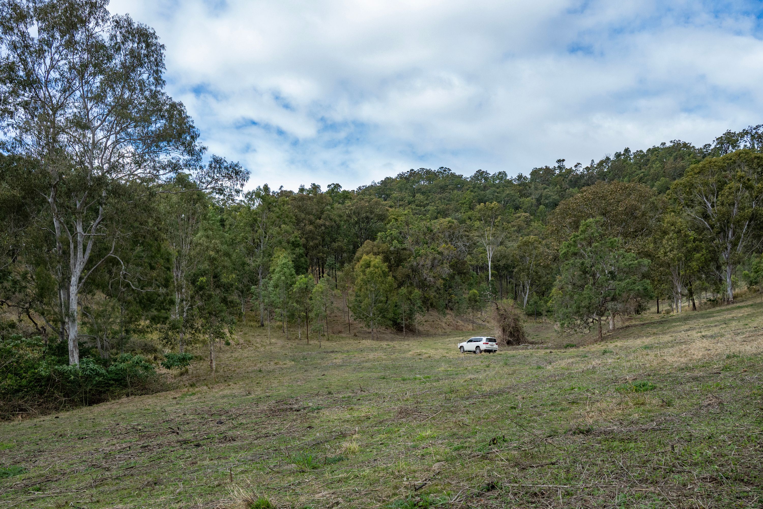 279 Camp Creek Road — photo 10 of 30