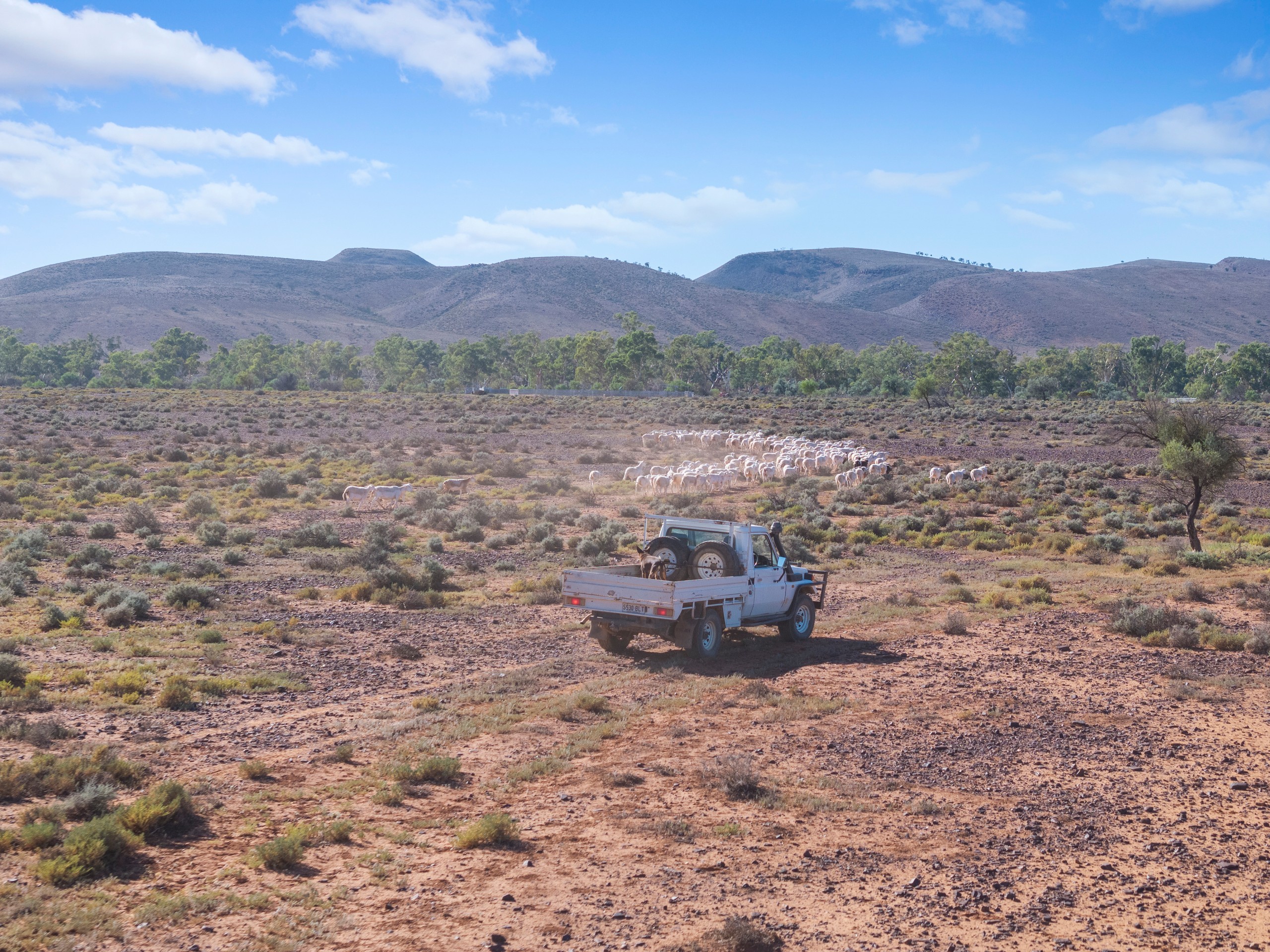 'Puttapa Station' Puttapa Road, PUTTAPA, SA 5730