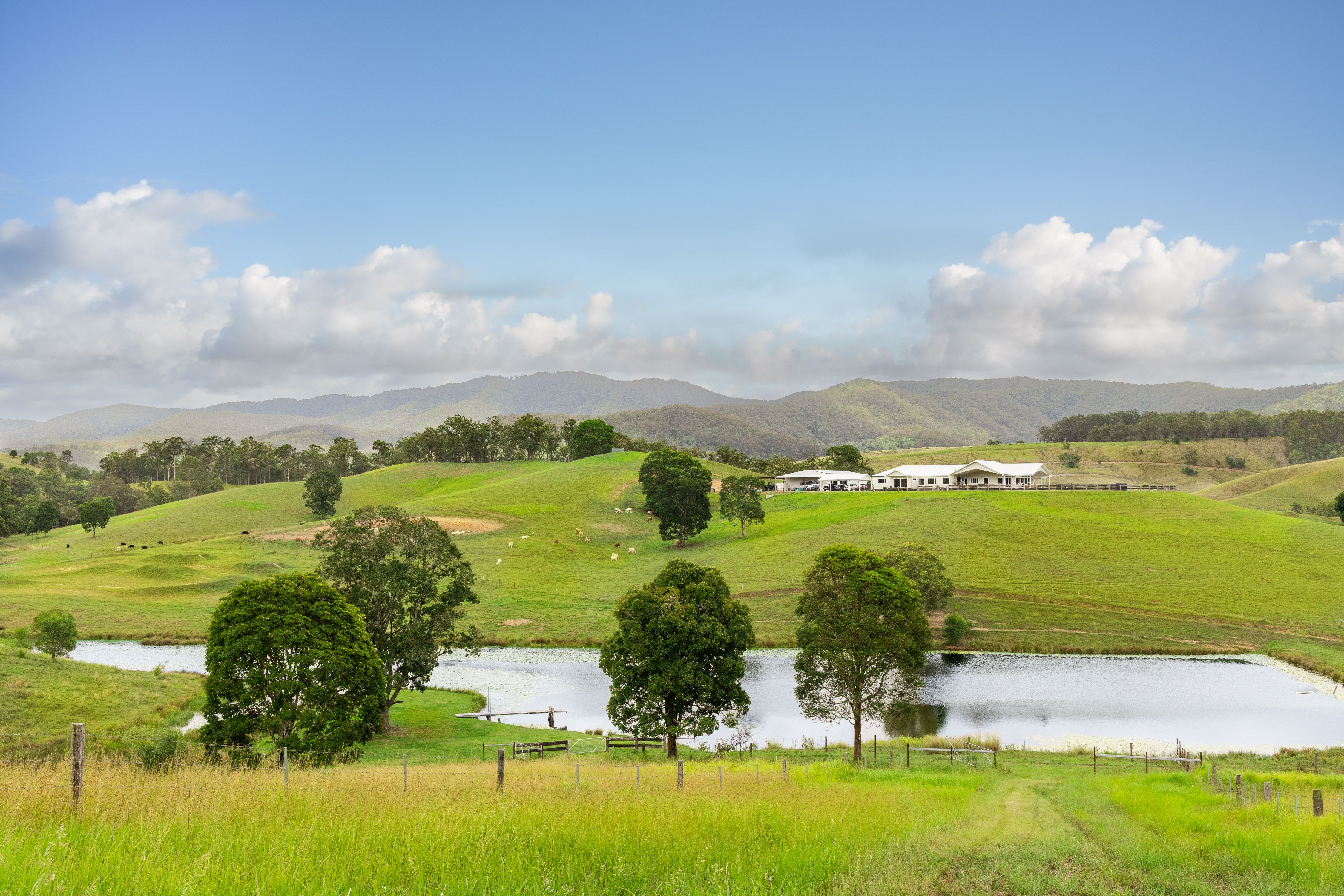 'Young Hills' — photo 4 of 30