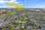 46 Caravelle Close photo 17