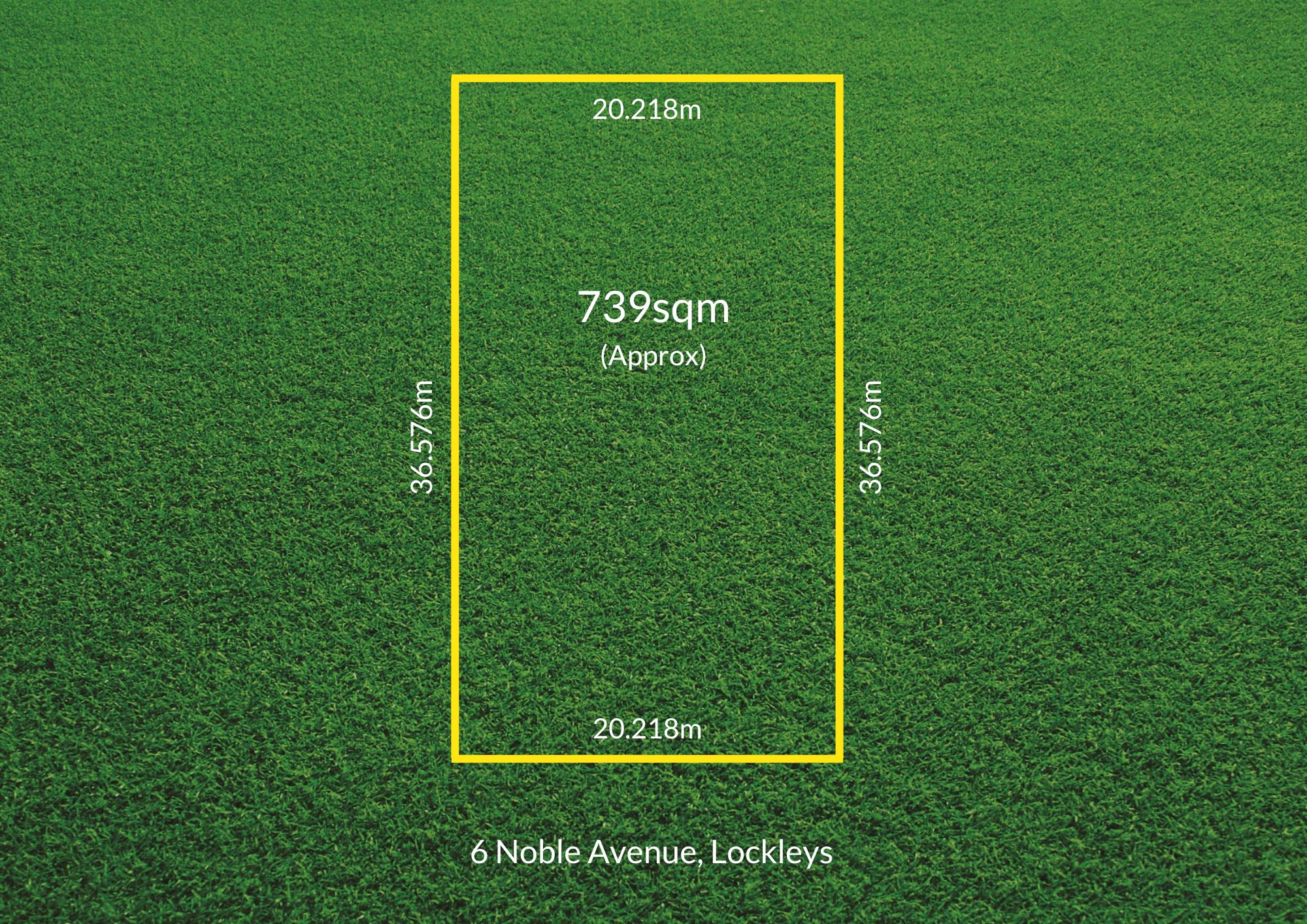 6 Noble Avenue, Lockleys, SA 5032